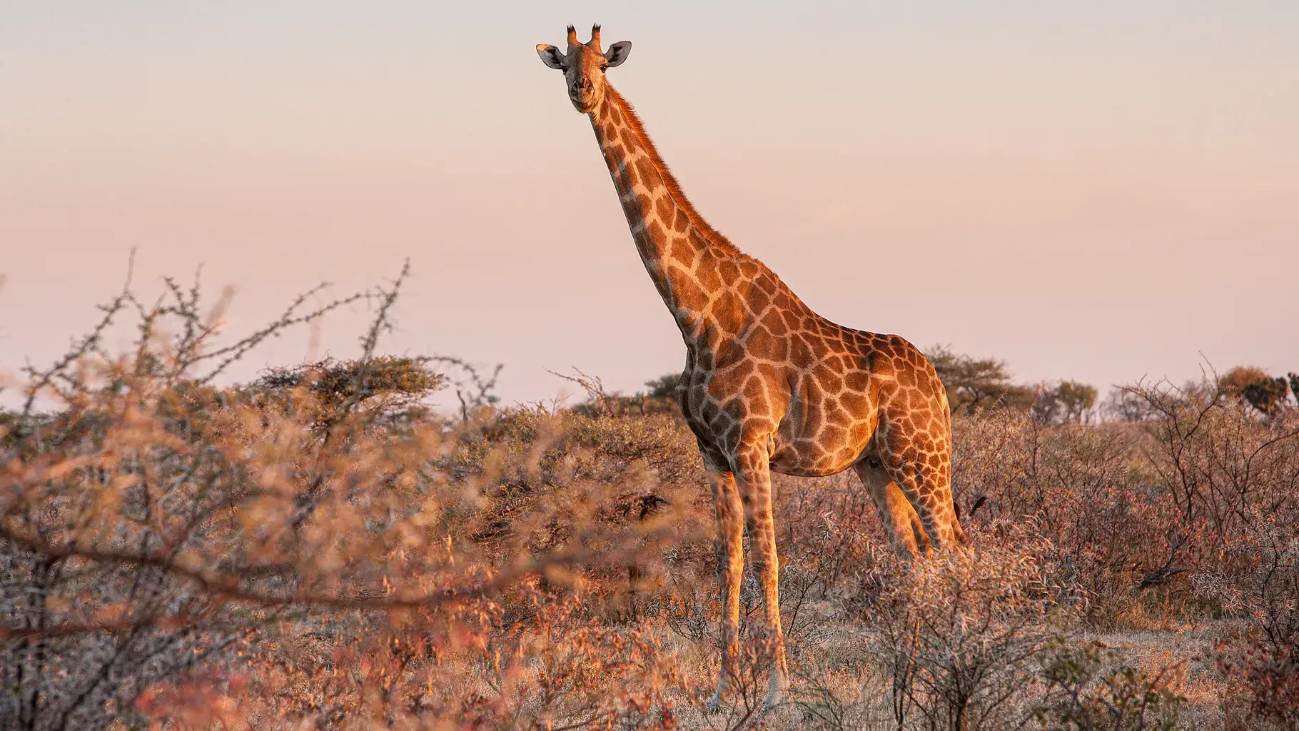 Zdjęcie z programu wyjazdu