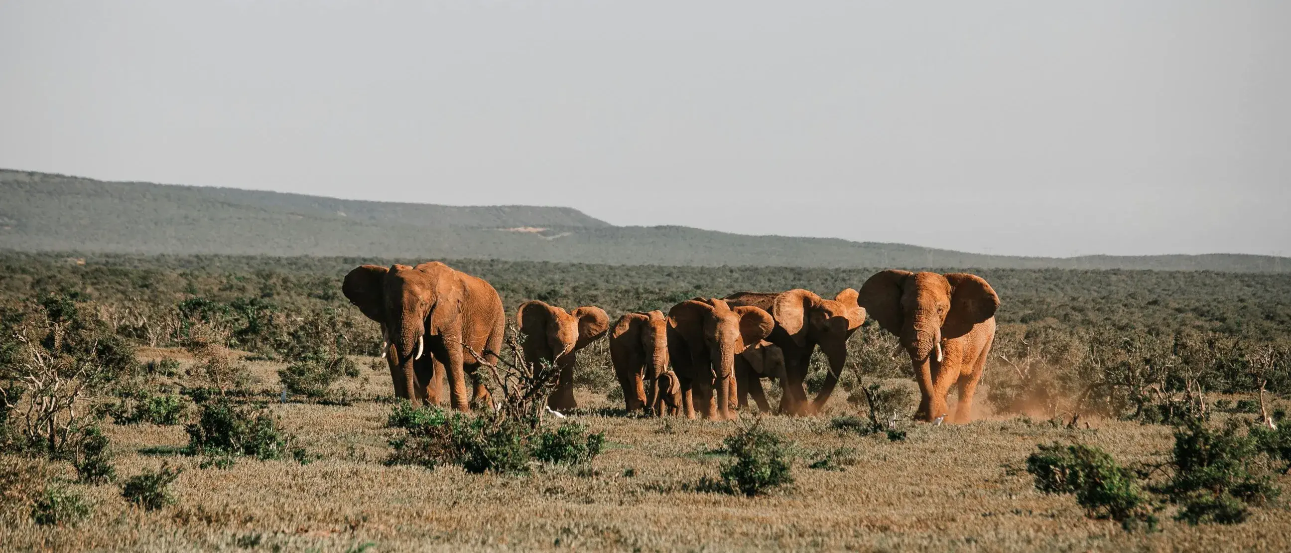 Zdjęcie z programu wyjazdu