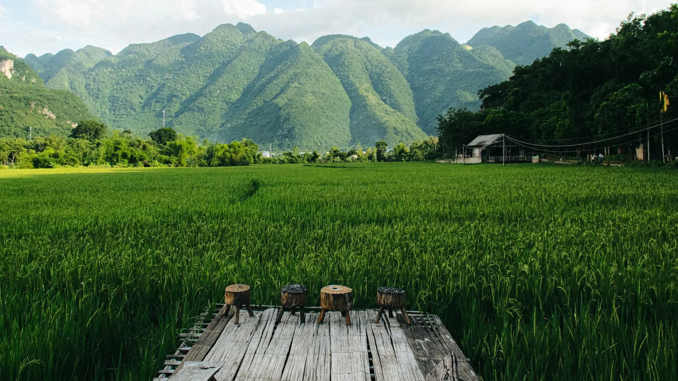 Zdjęcie z programu wyjazdu