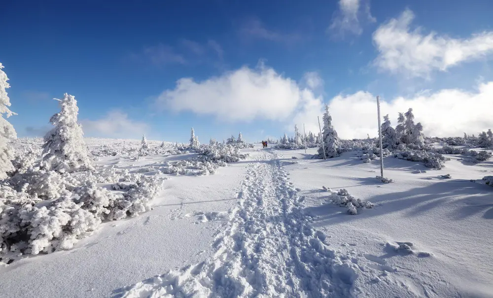 Zdjęcie z programu wyjazdu