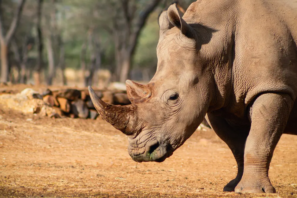 Zdjęcie z programu wyjazdu