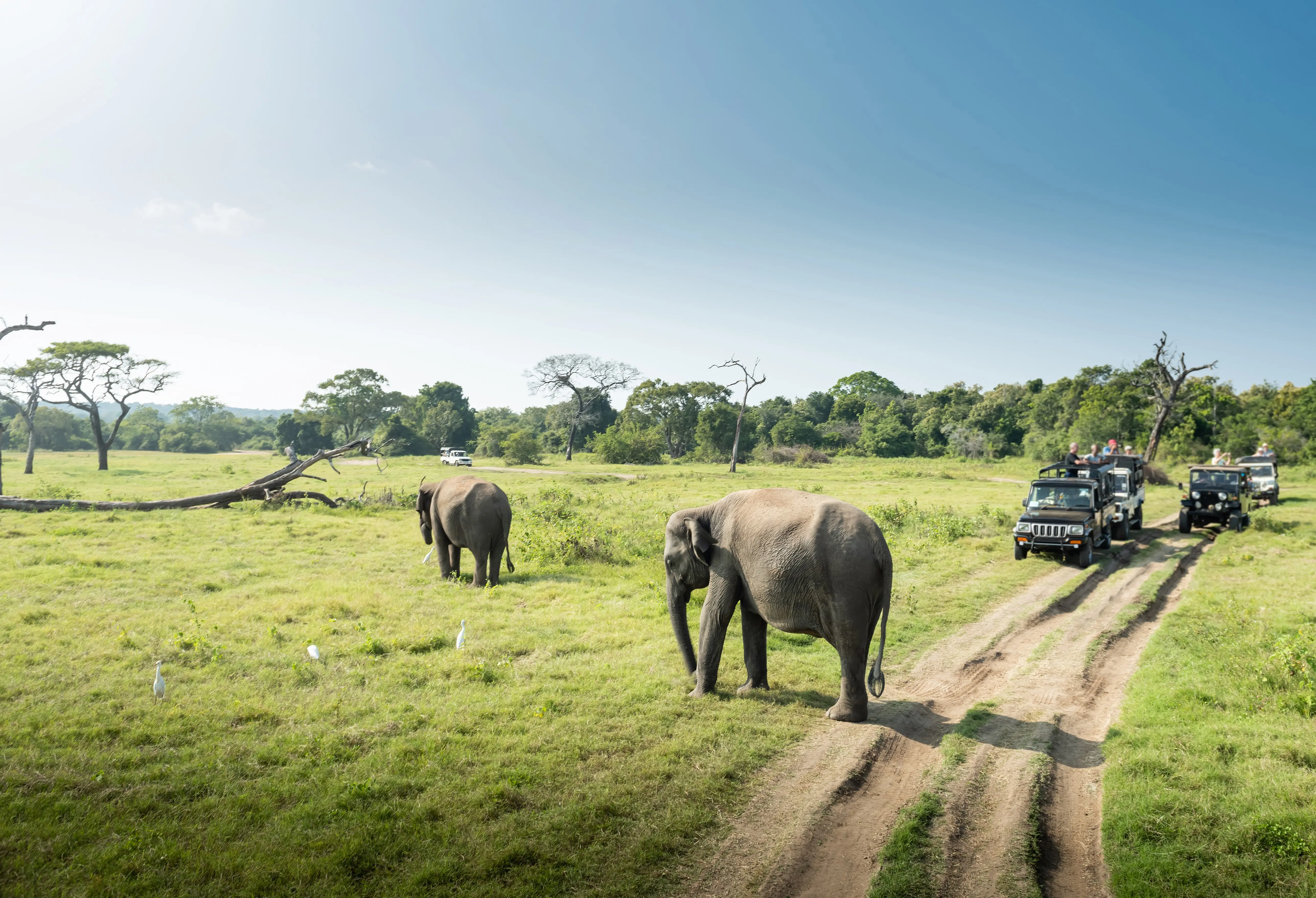 Zdjęcie z programu wyjazdu