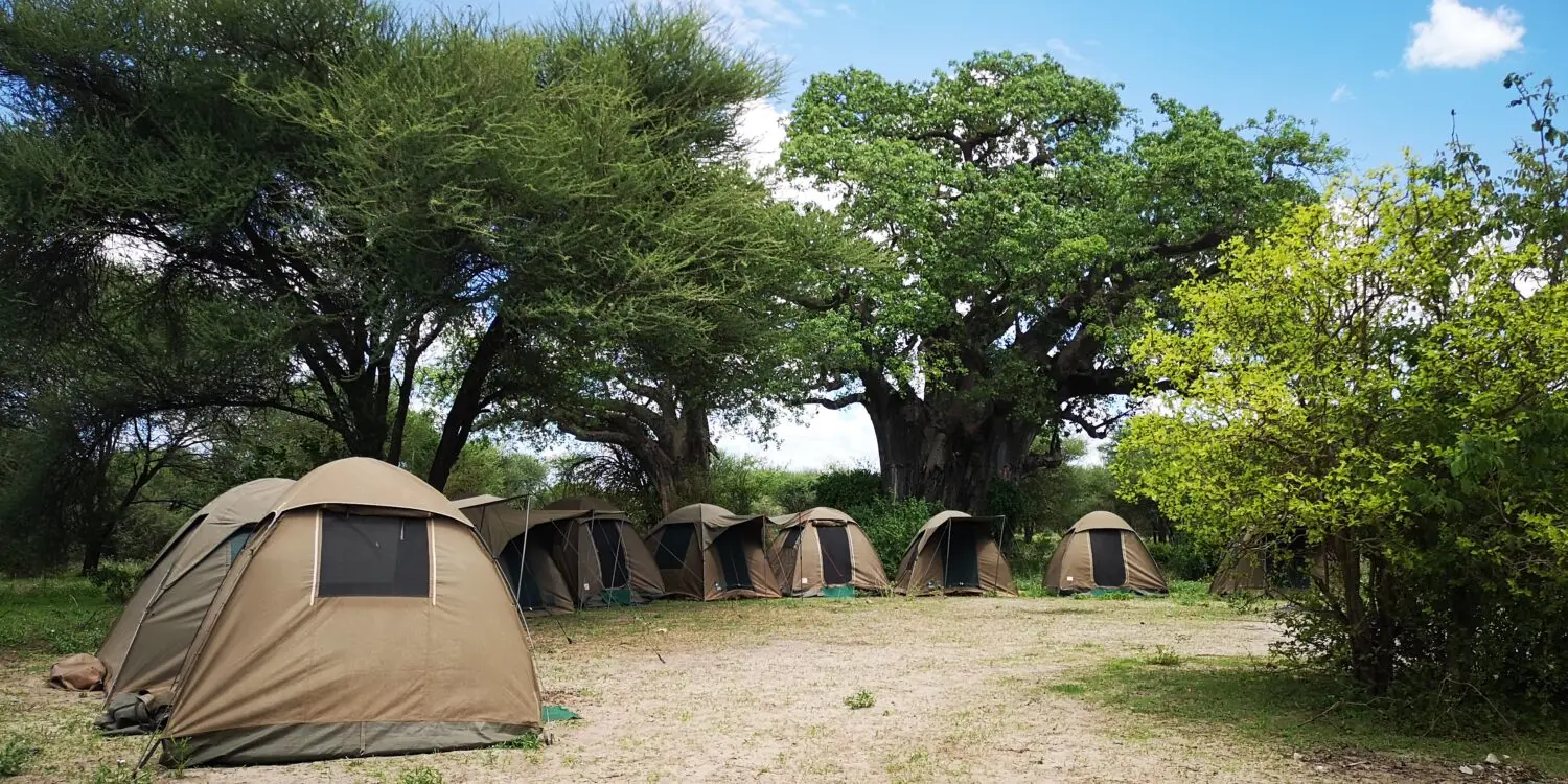 Zdjęcie z programu wyjazdu