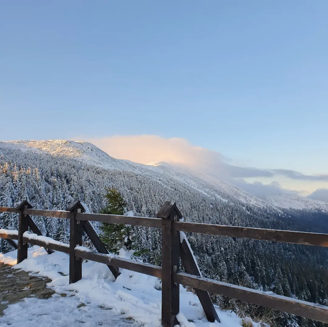 Zdjęcie z programu wyjazdu