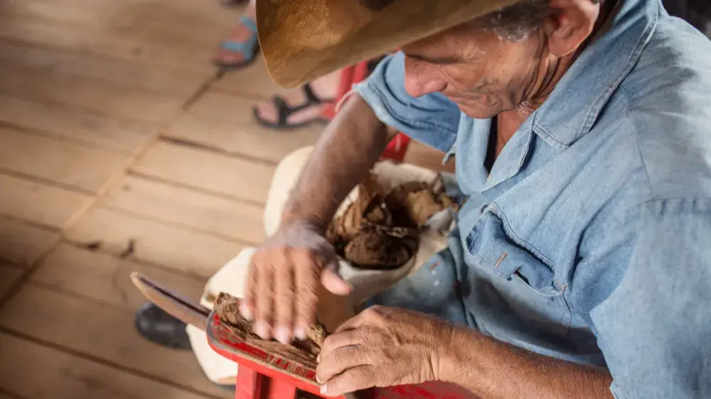 Zdjęcie z programu wyjazdu
