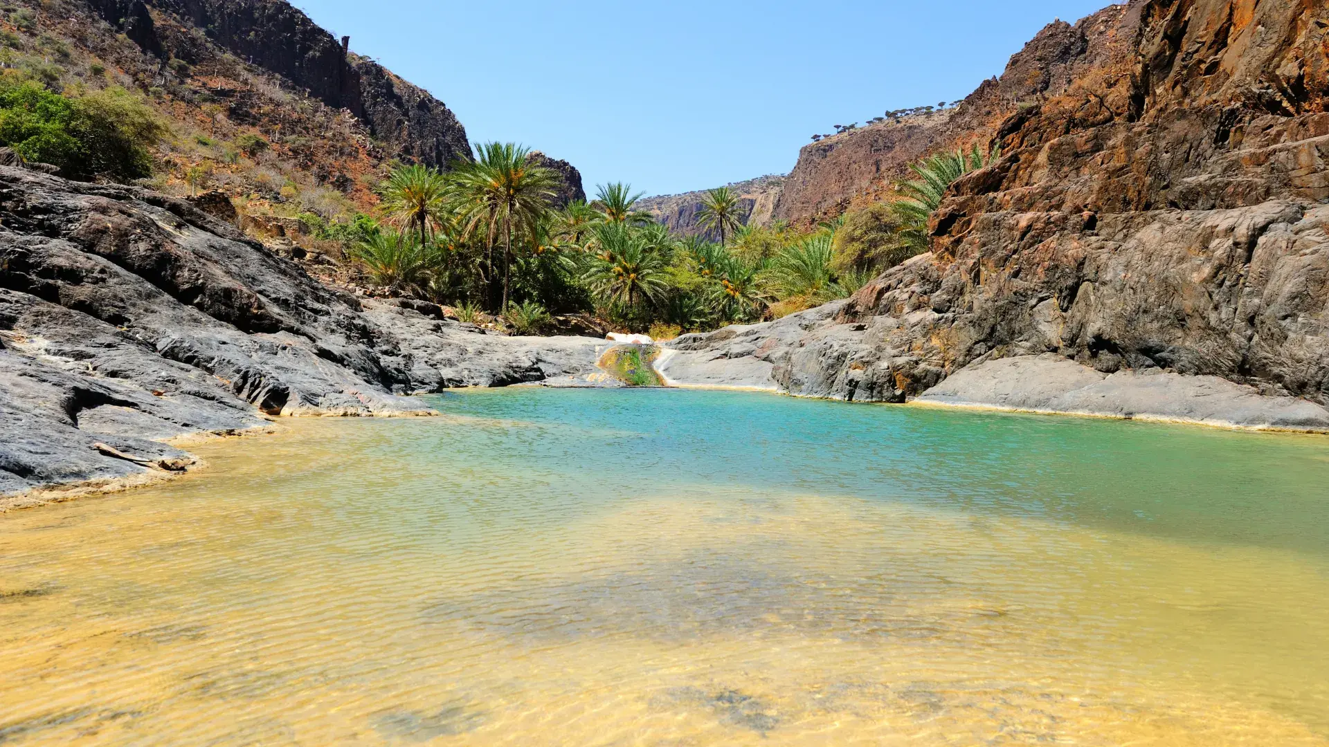Zdjęcie z programu wyjazdu