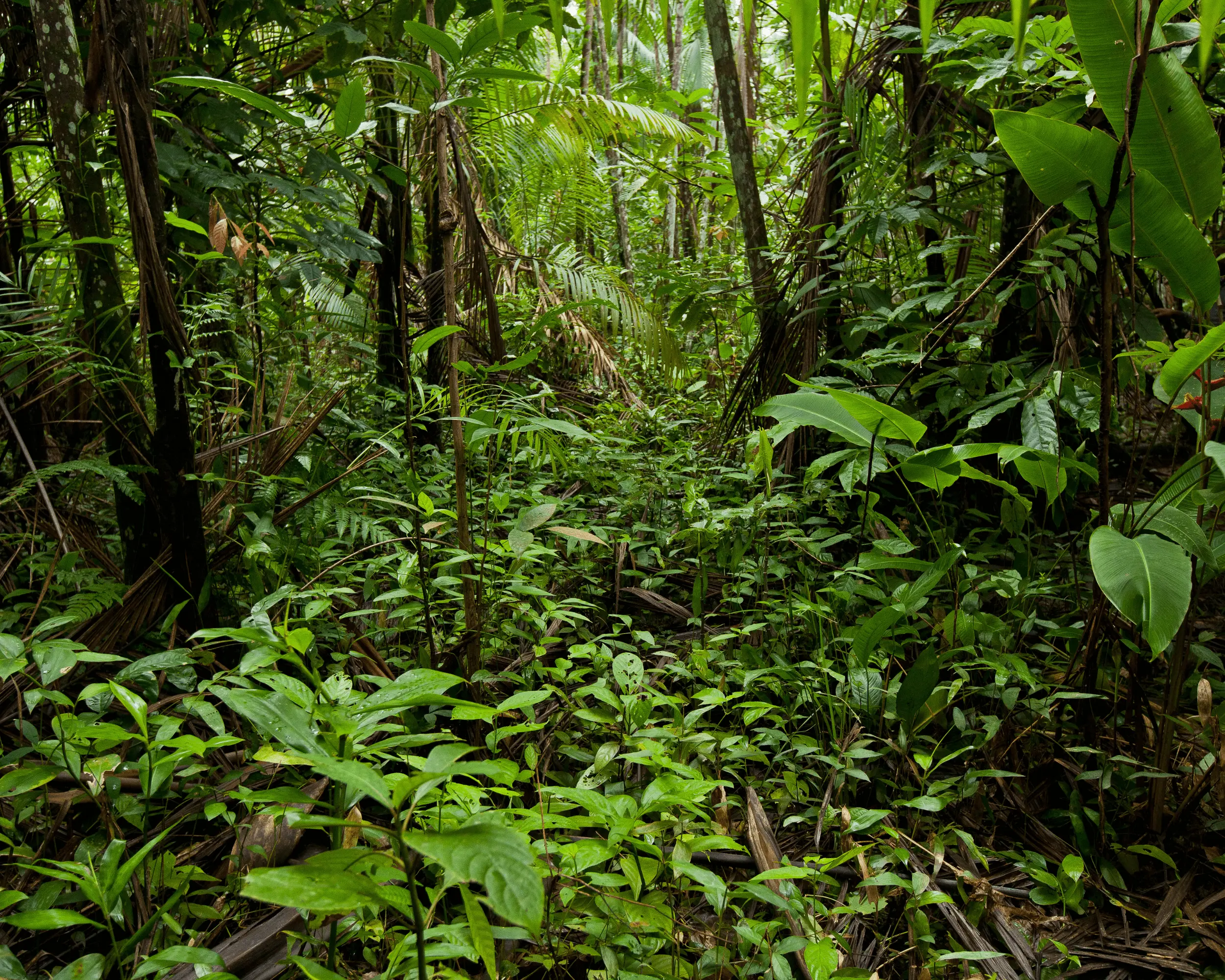 Zdjęcie z programu wyjazdu