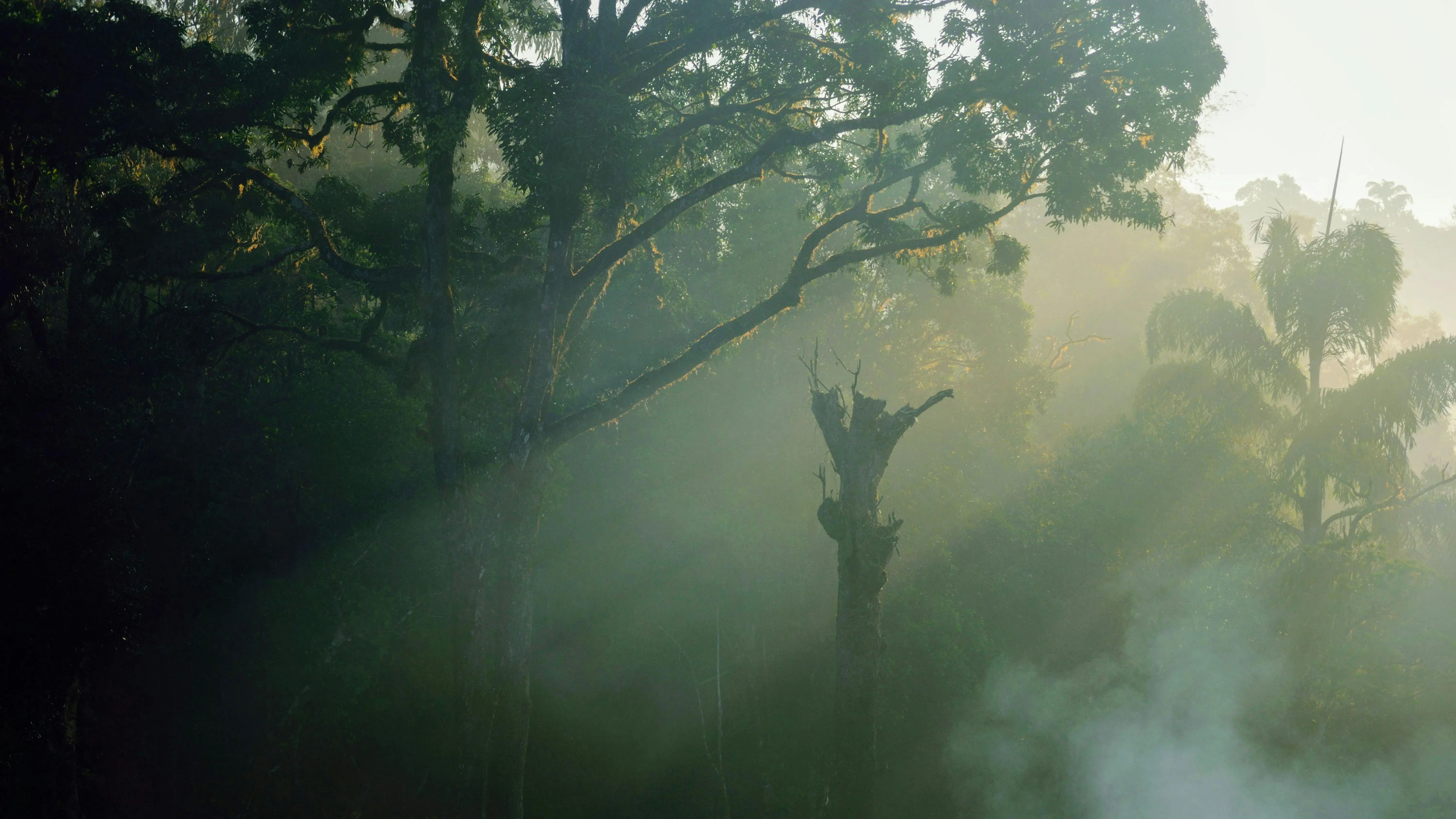 Zdjęcie z programu wyjazdu