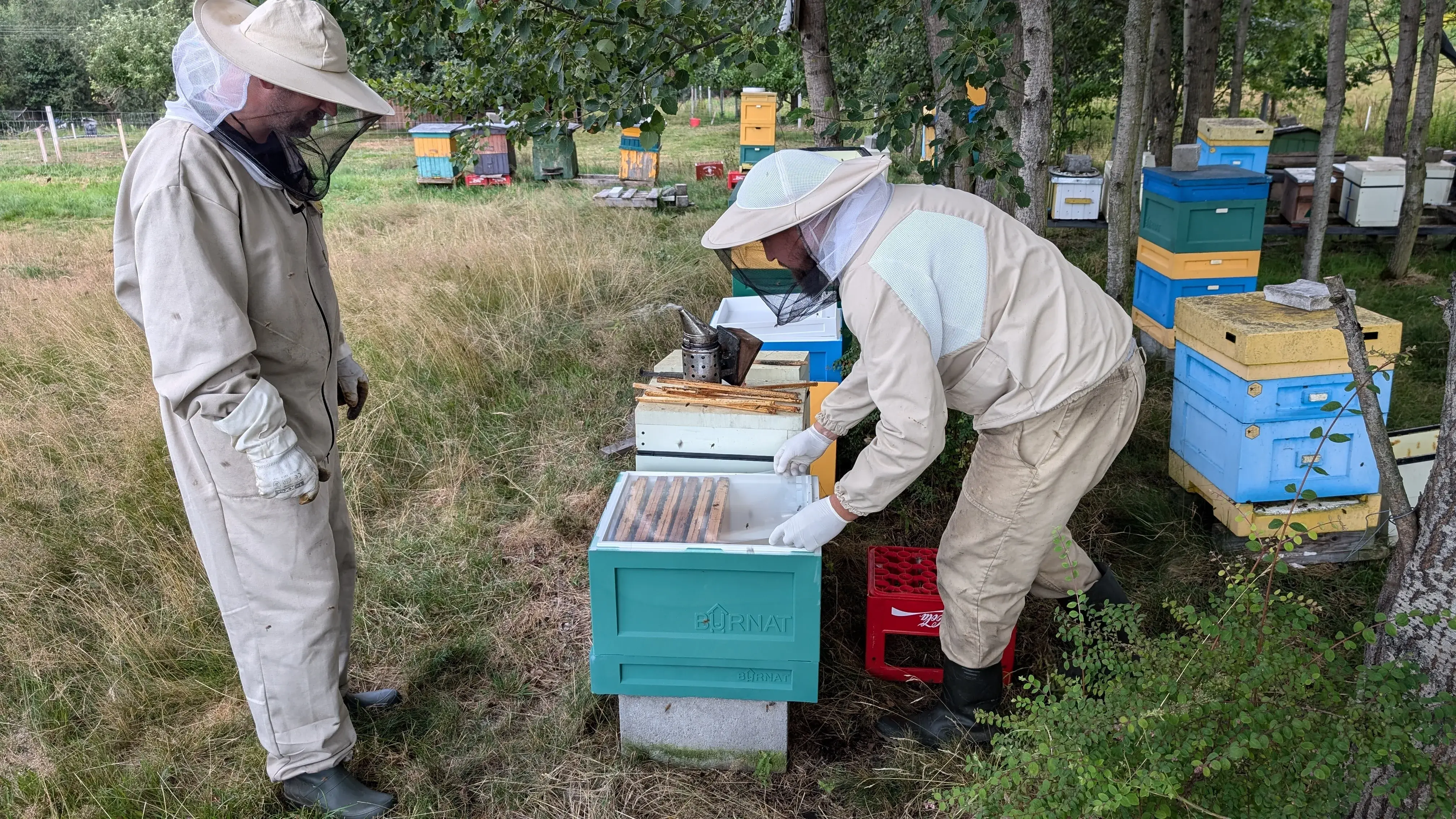 Zdjęcie z programu wyjazdu