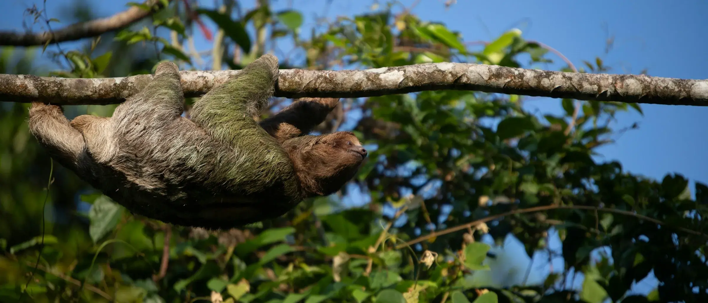 Zdjęcie z programu wyjazdu