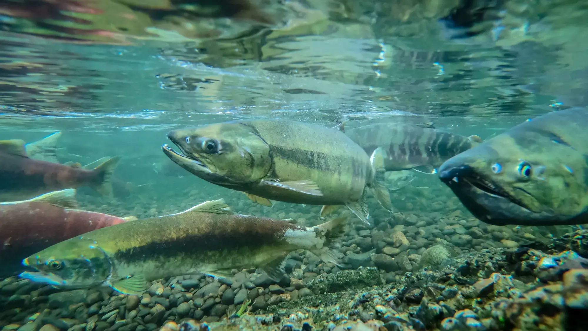 Zdjęcie z programu wyjazdu