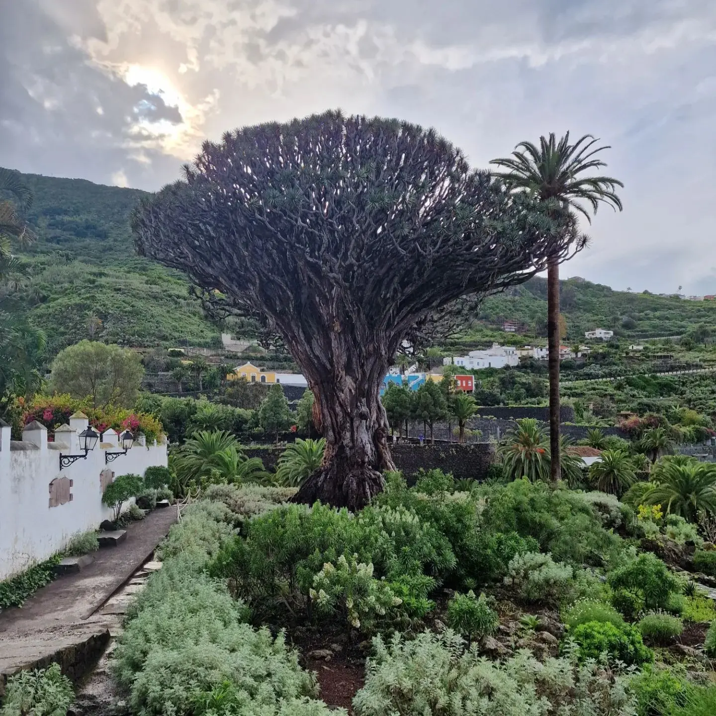 Zdjęcie z programu wyjazdu