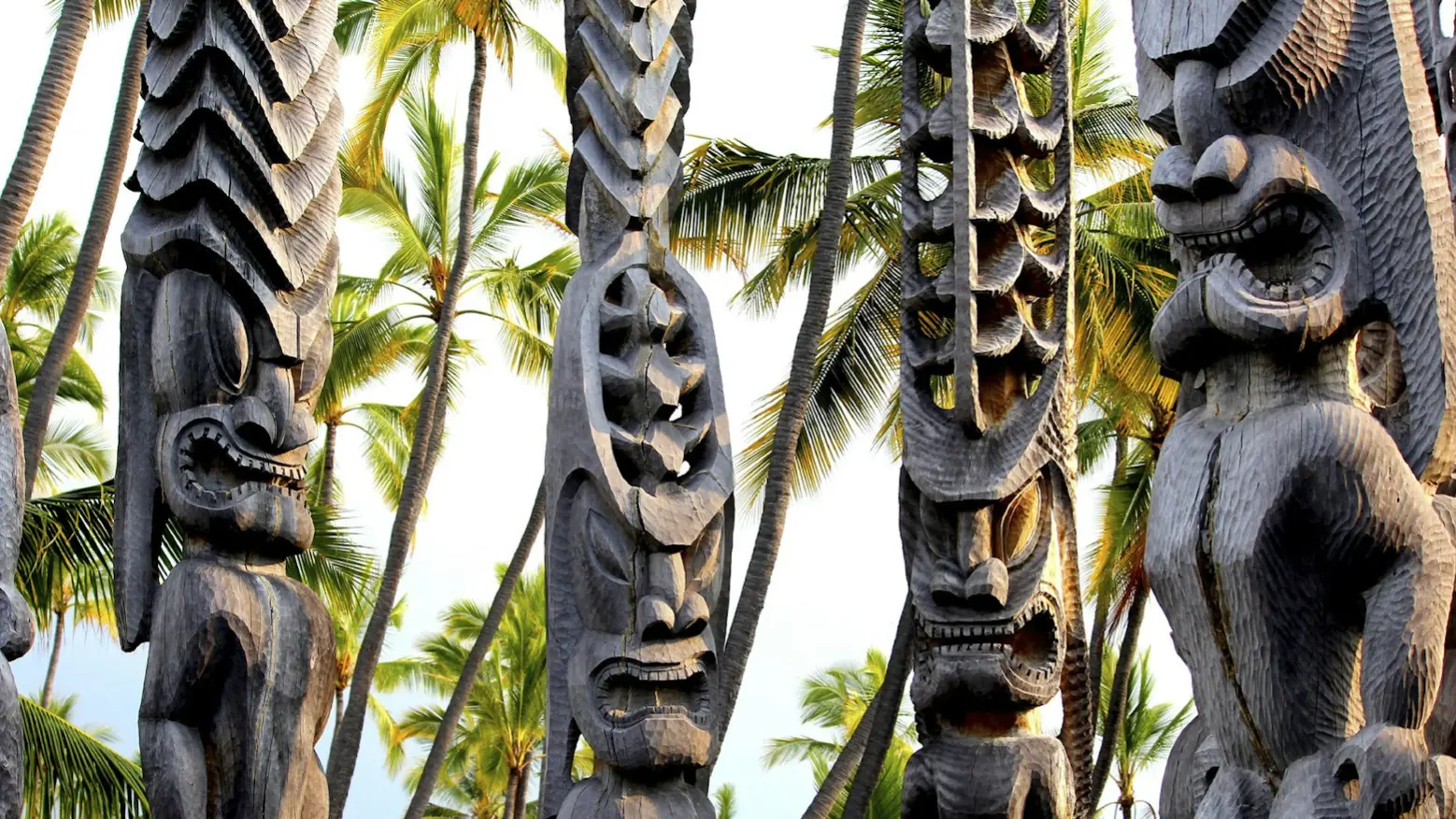 Zdjęcie z programu wyjazdu