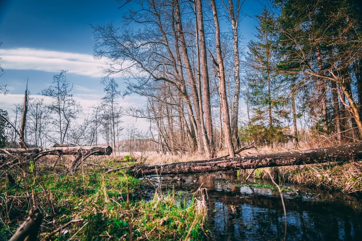 Zdjęcie z programu wyjazdu