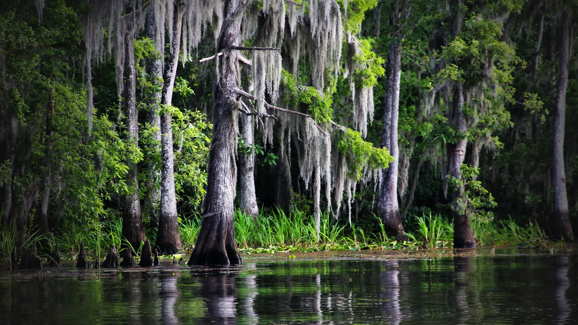 Zdjęcie z programu wyjazdu