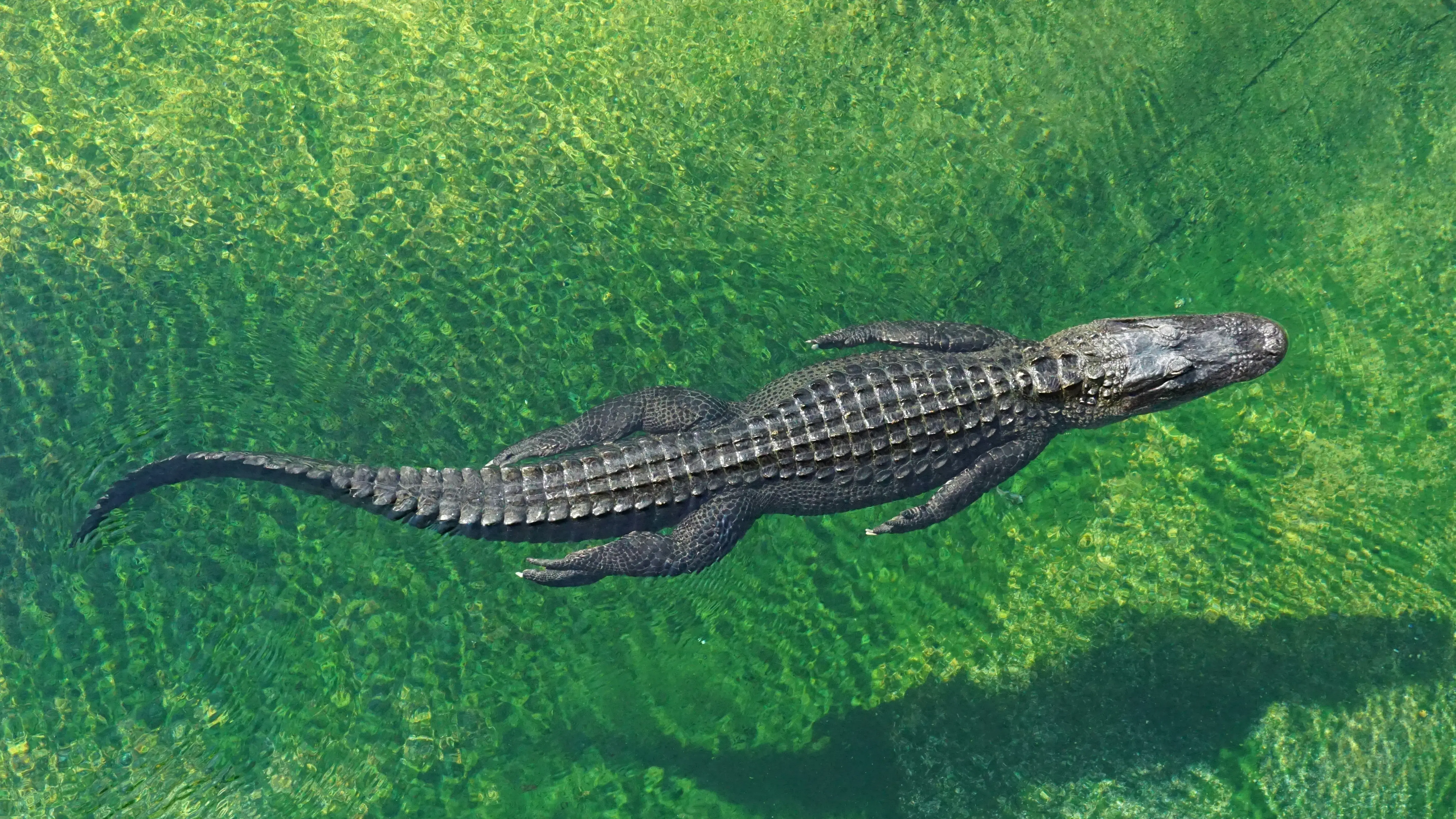 Zdjęcie z programu wyjazdu