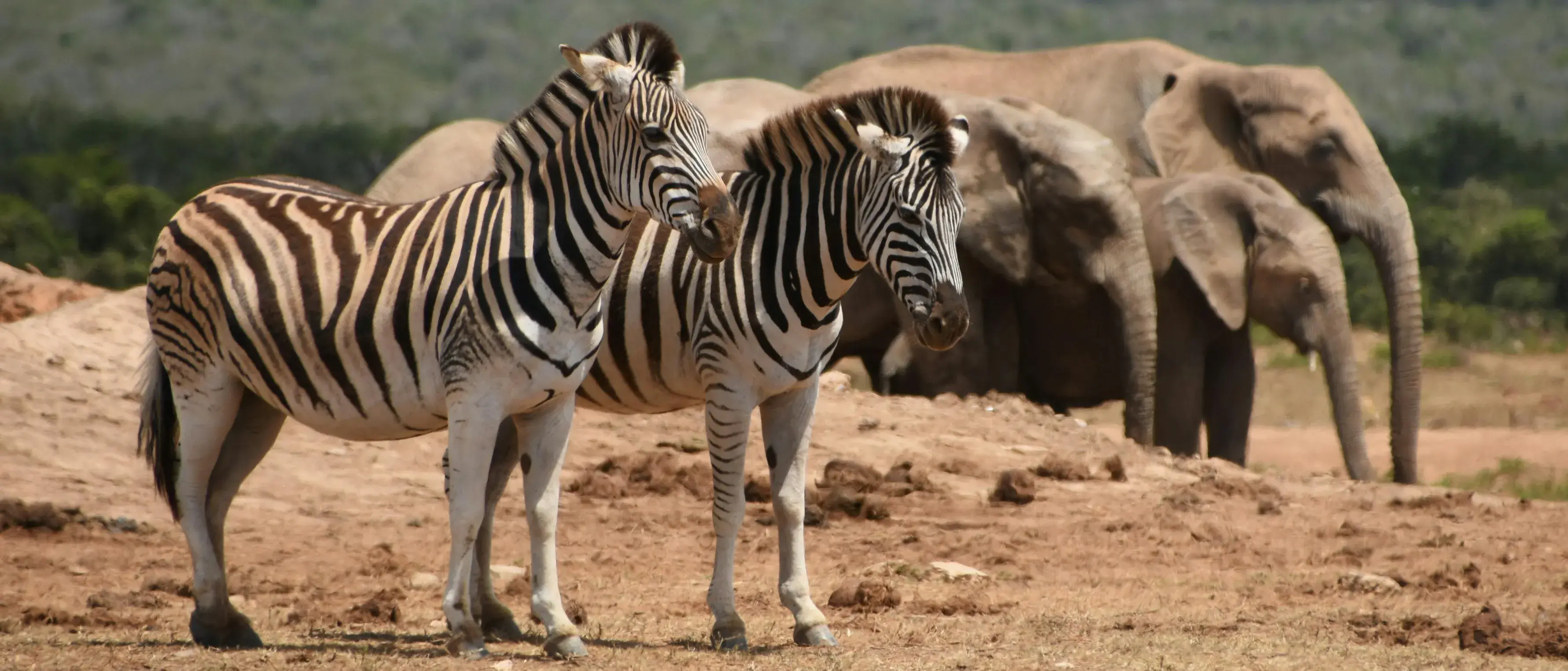Zdjęcie z programu wyjazdu