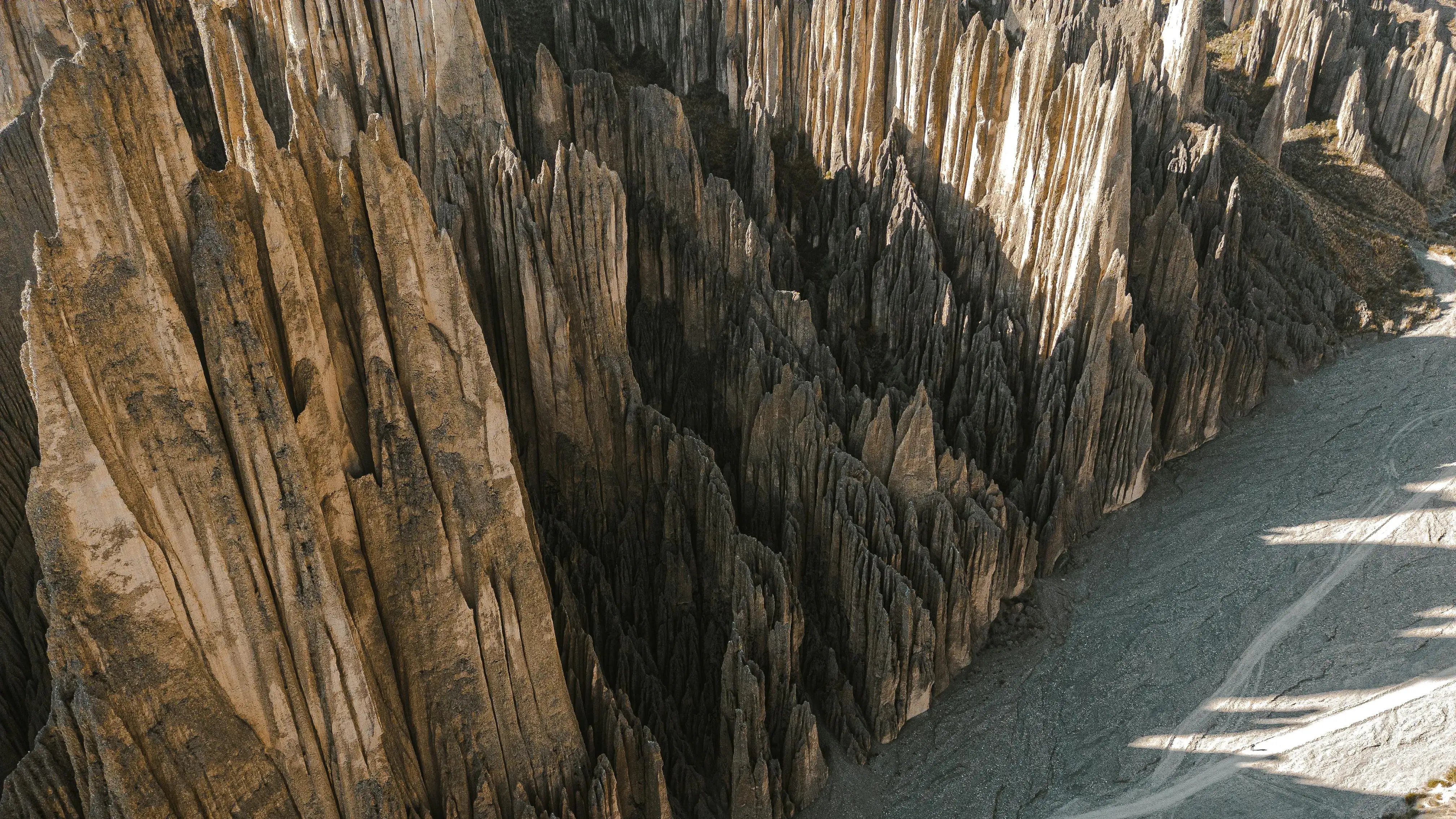 Zdjęcie z programu wyjazdu