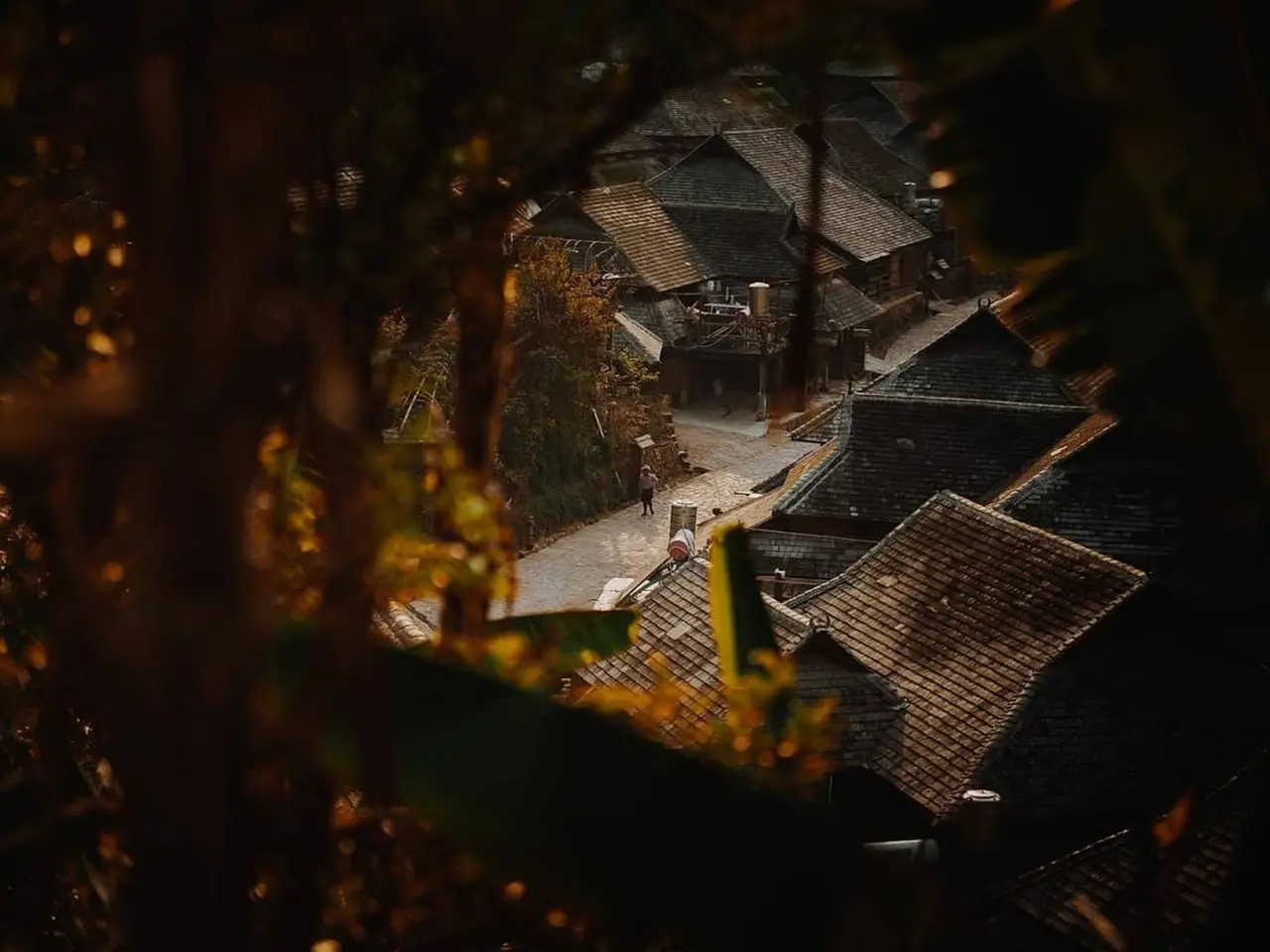 Zdjęcie z programu wyjazdu