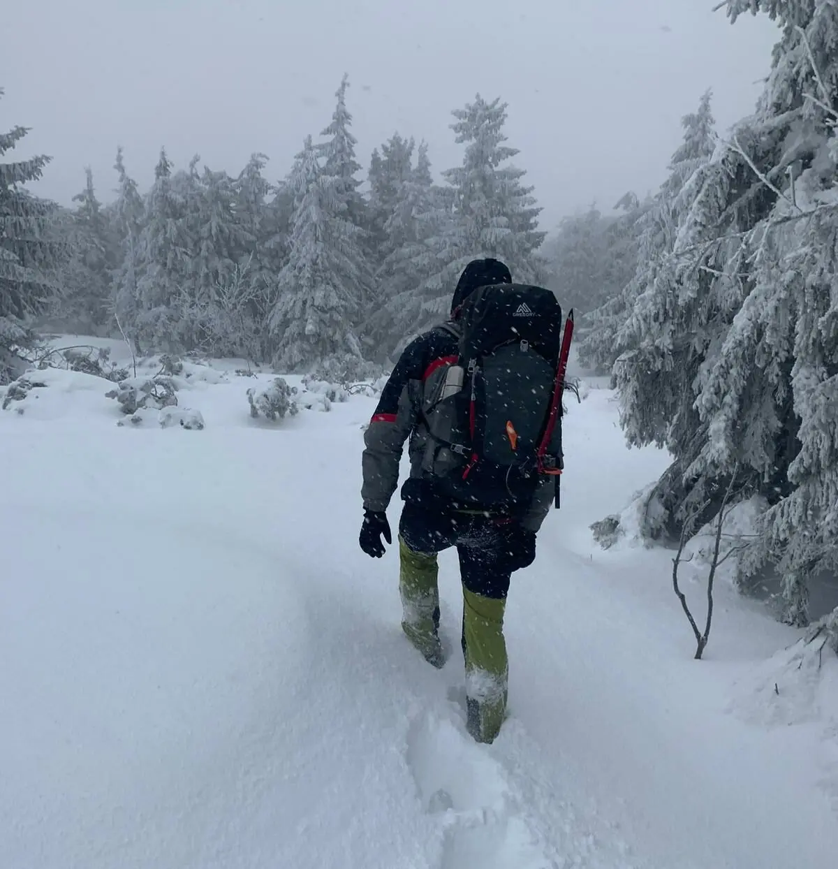 Zdjęcie z programu wyjazdu