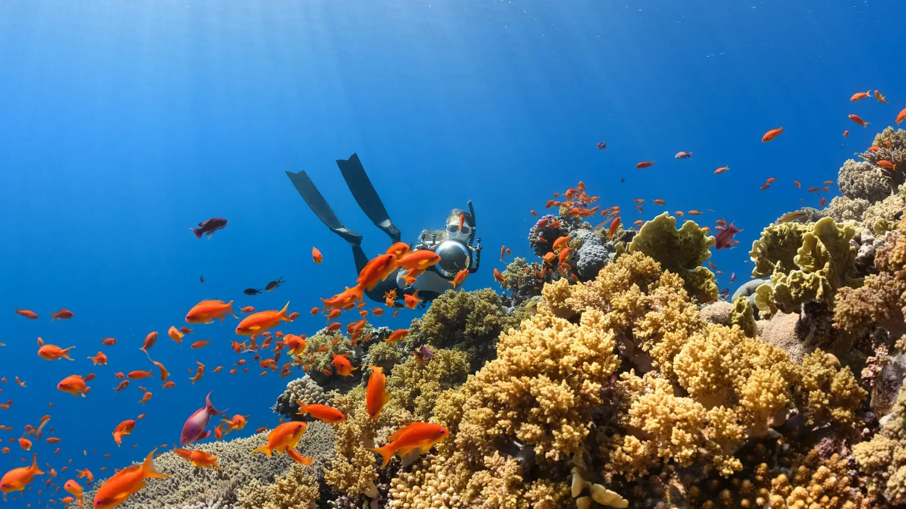 Zdjęcie z programu wyjazdu