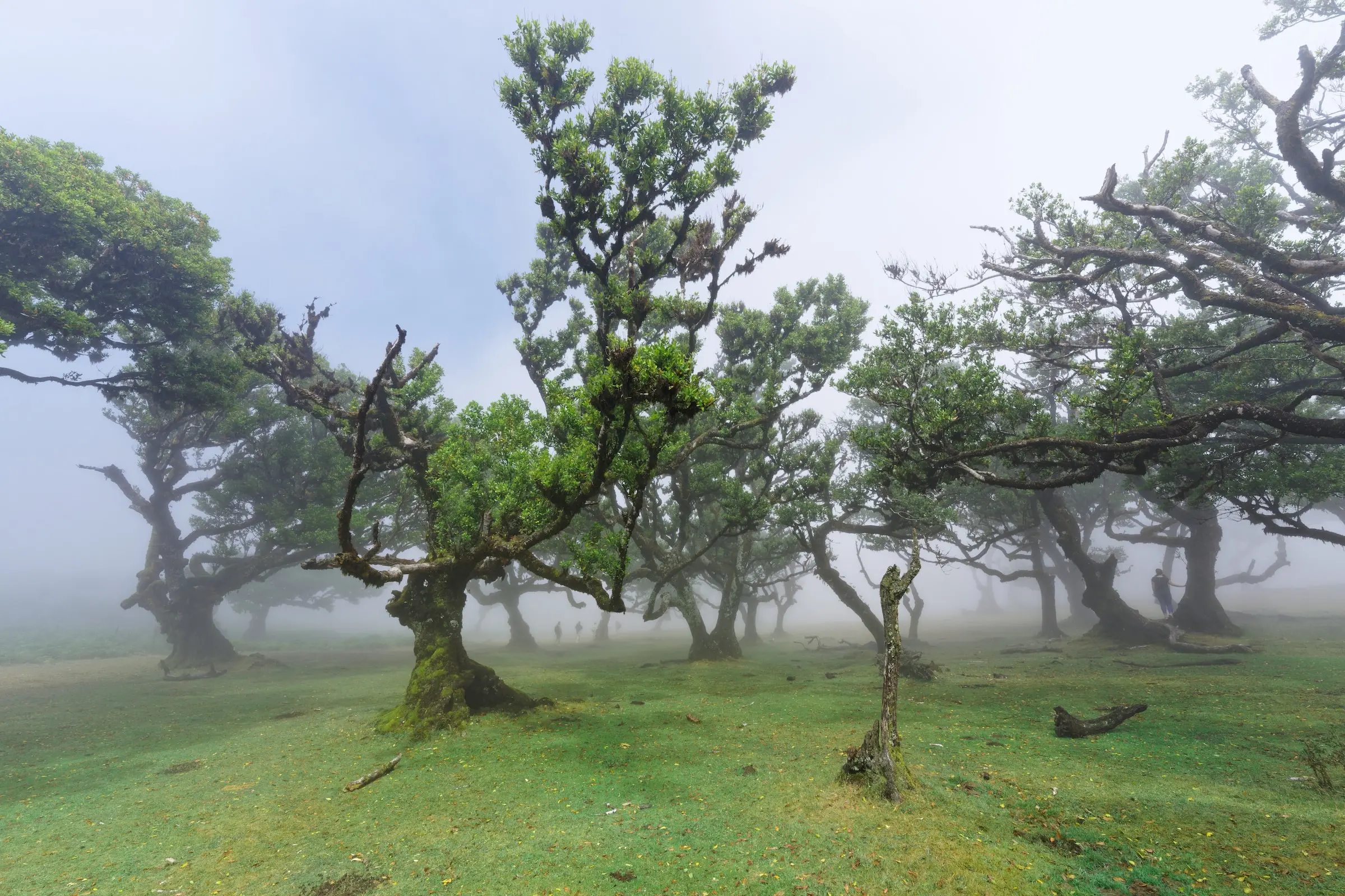 Zdjęcie z programu wyjazdu