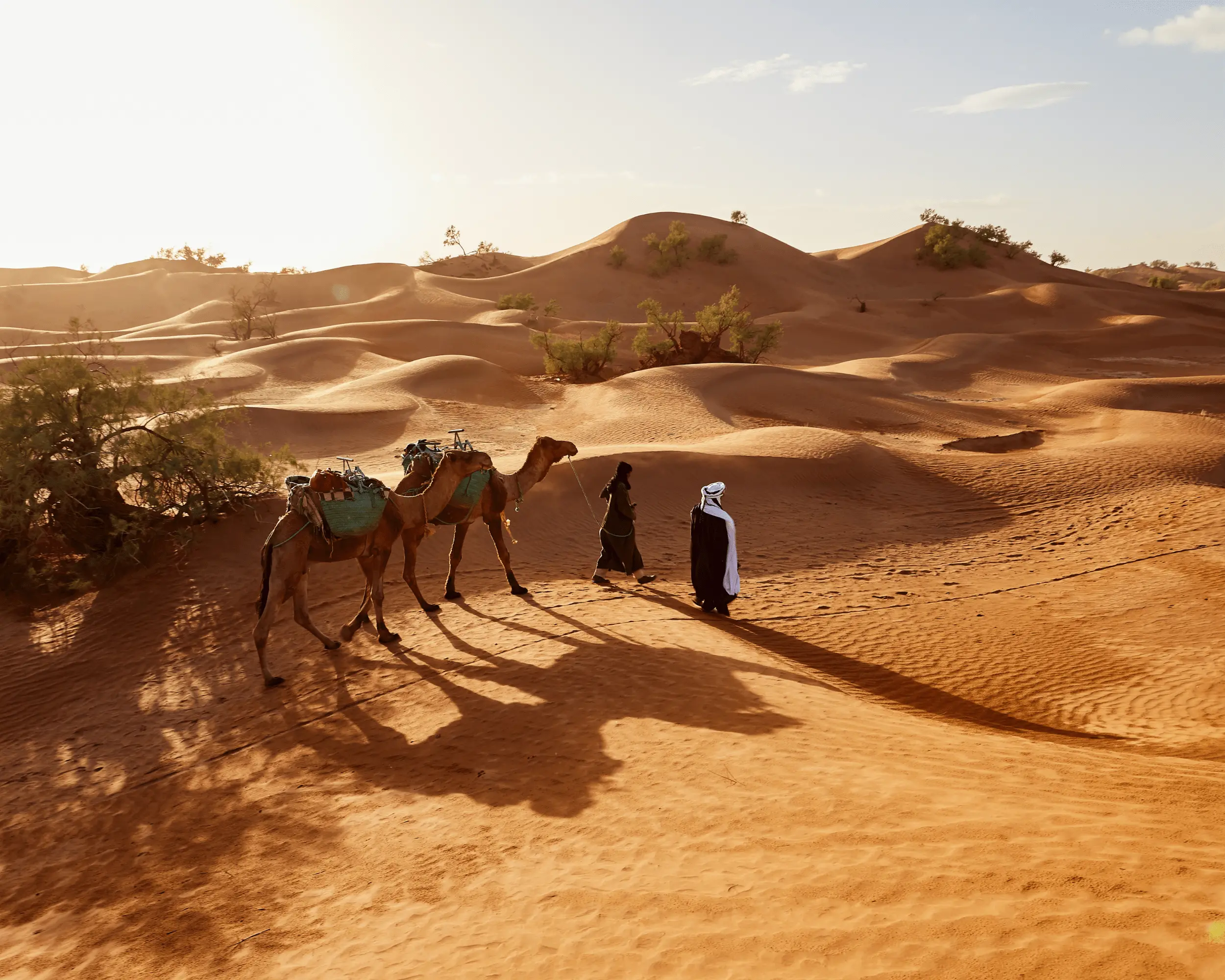 Zdjęcie z programu wyjazdu