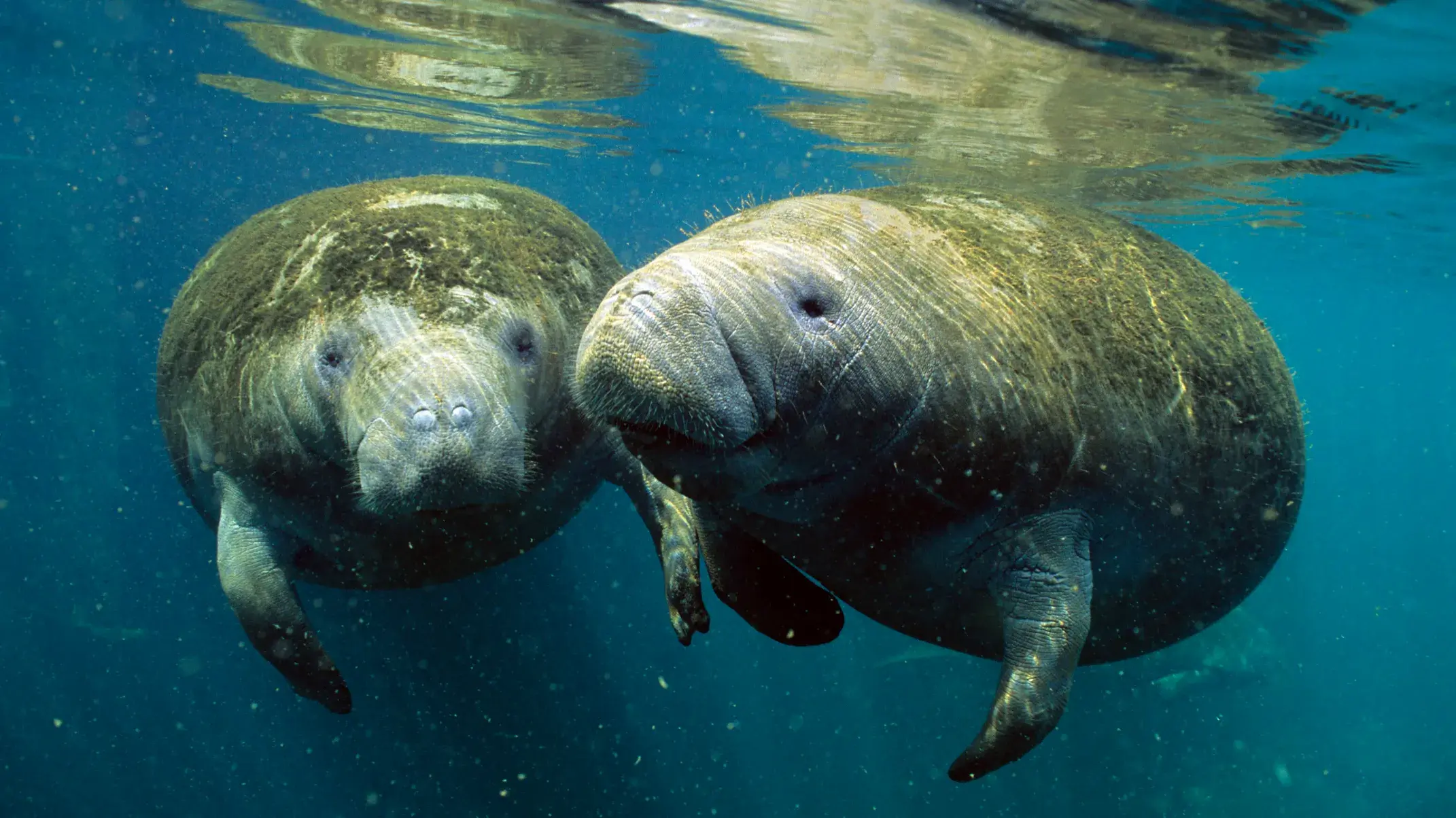 Zdjęcie z programu wyjazdu