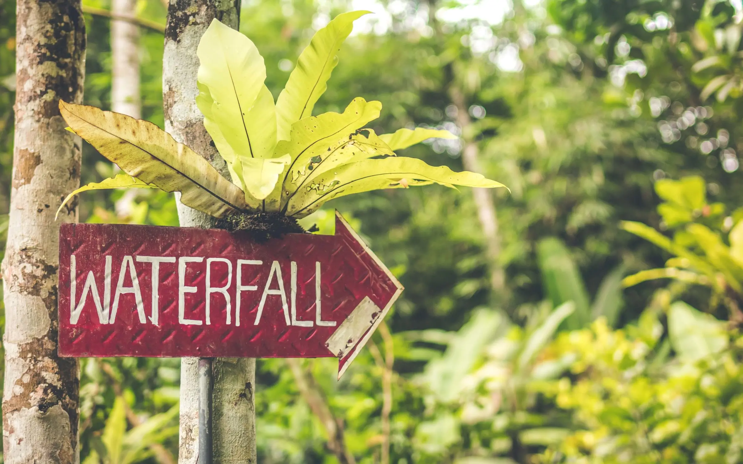 Zdjęcie z programu wyjazdu