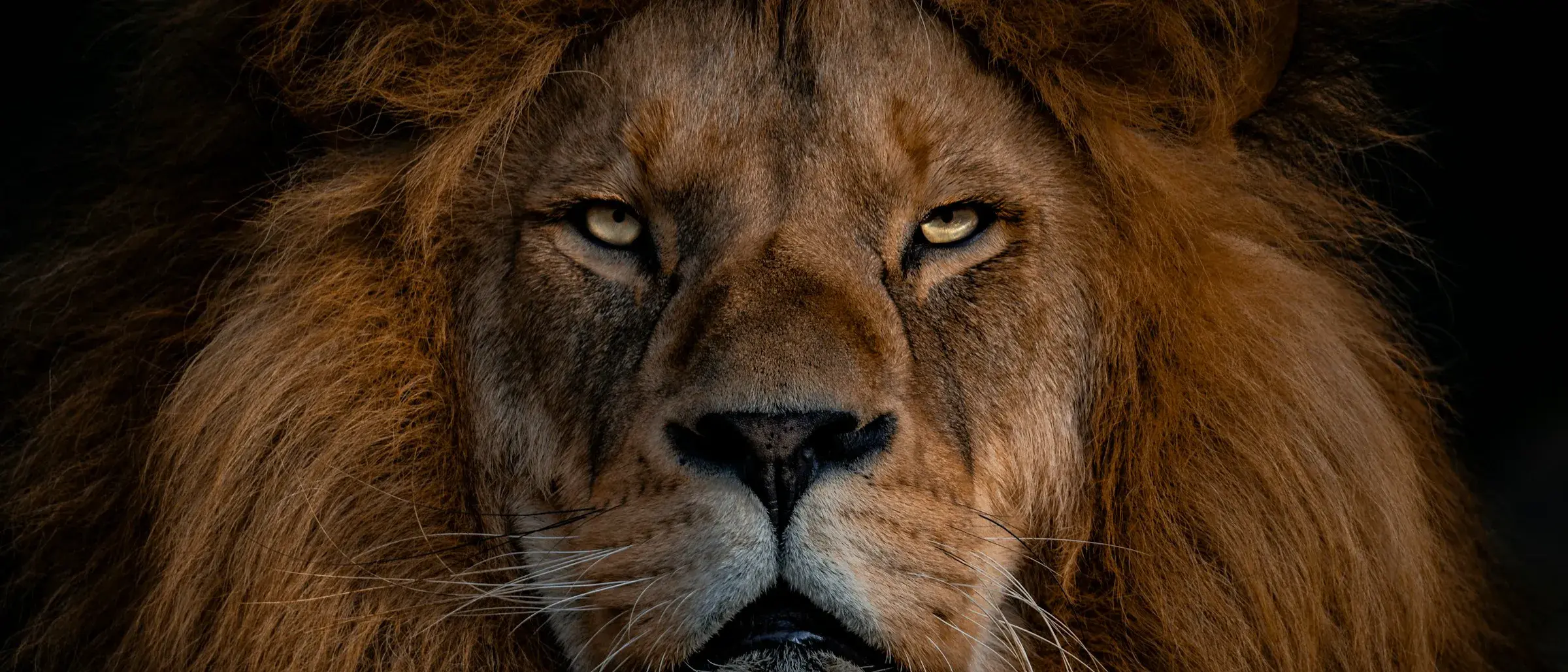 Zdjęcie z programu wyjazdu