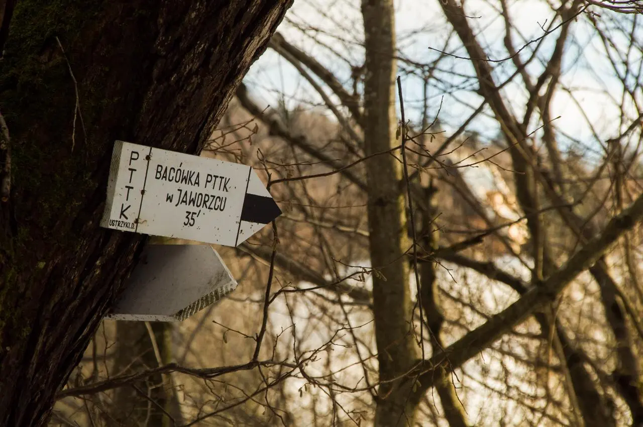 Zdjęcie z programu wyjazdu