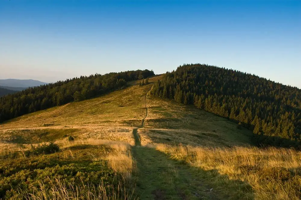 Zdjęcie z programu wyjazdu