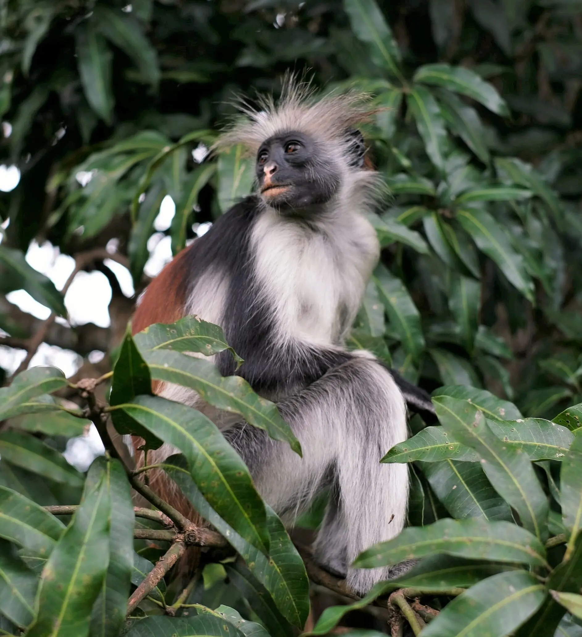 Zdjęcie z programu wyjazdu