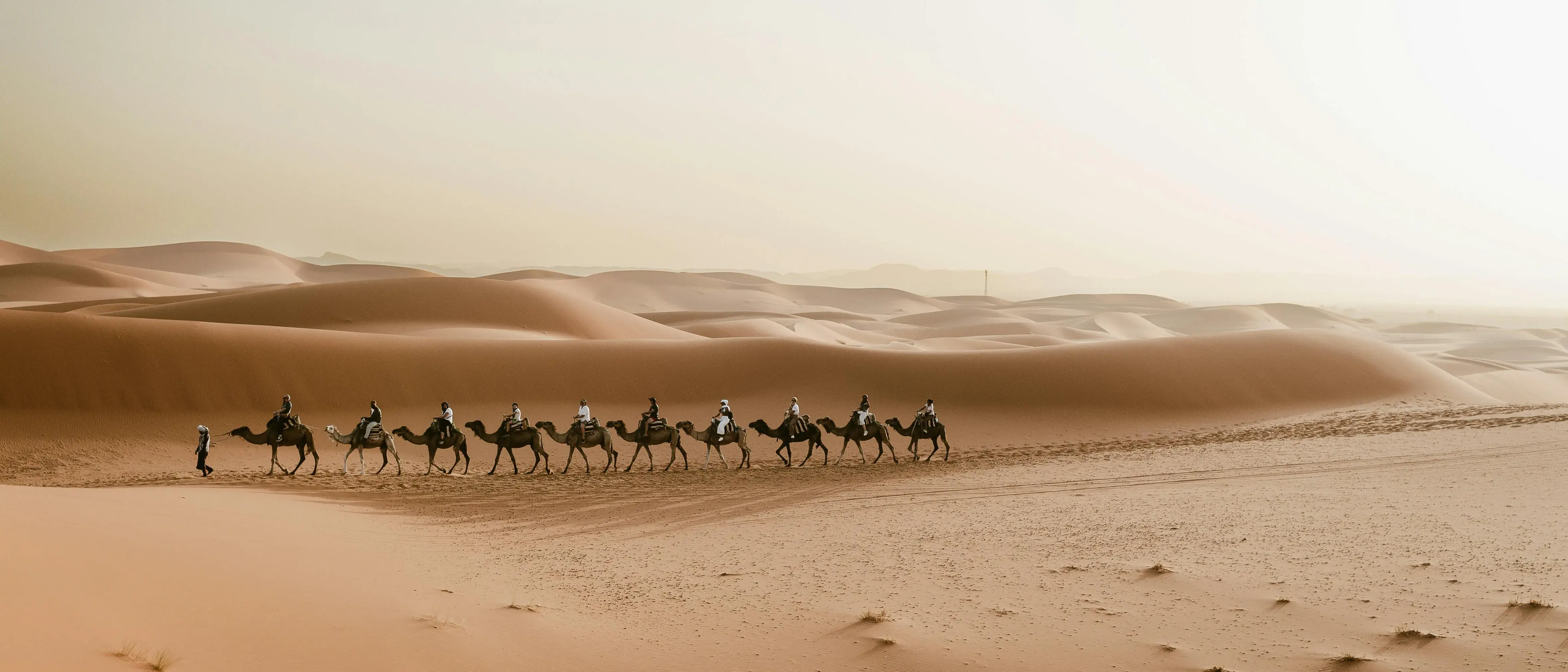 Zdjęcie z programu wyjazdu