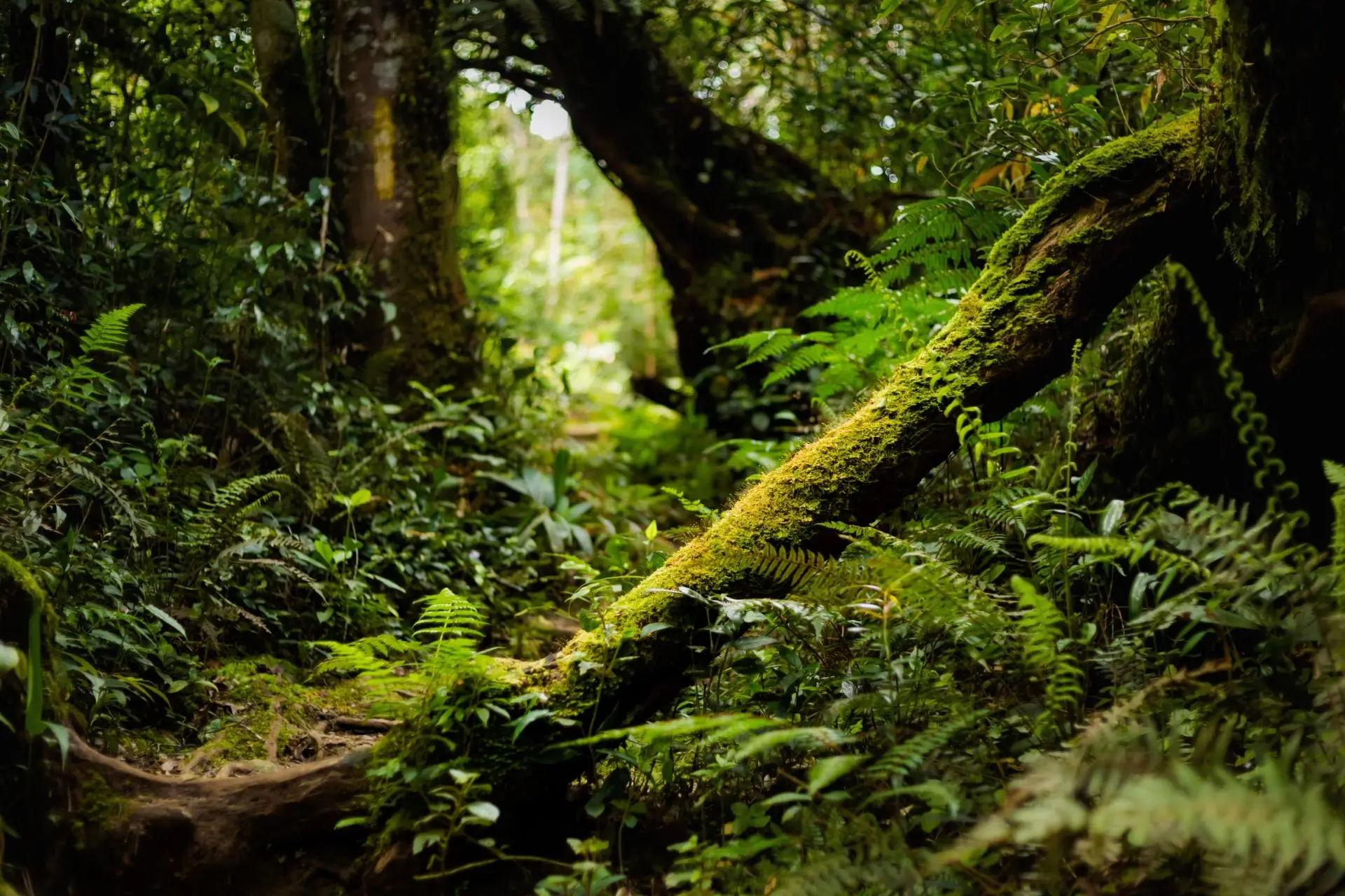 Zdjęcie z programu wyjazdu