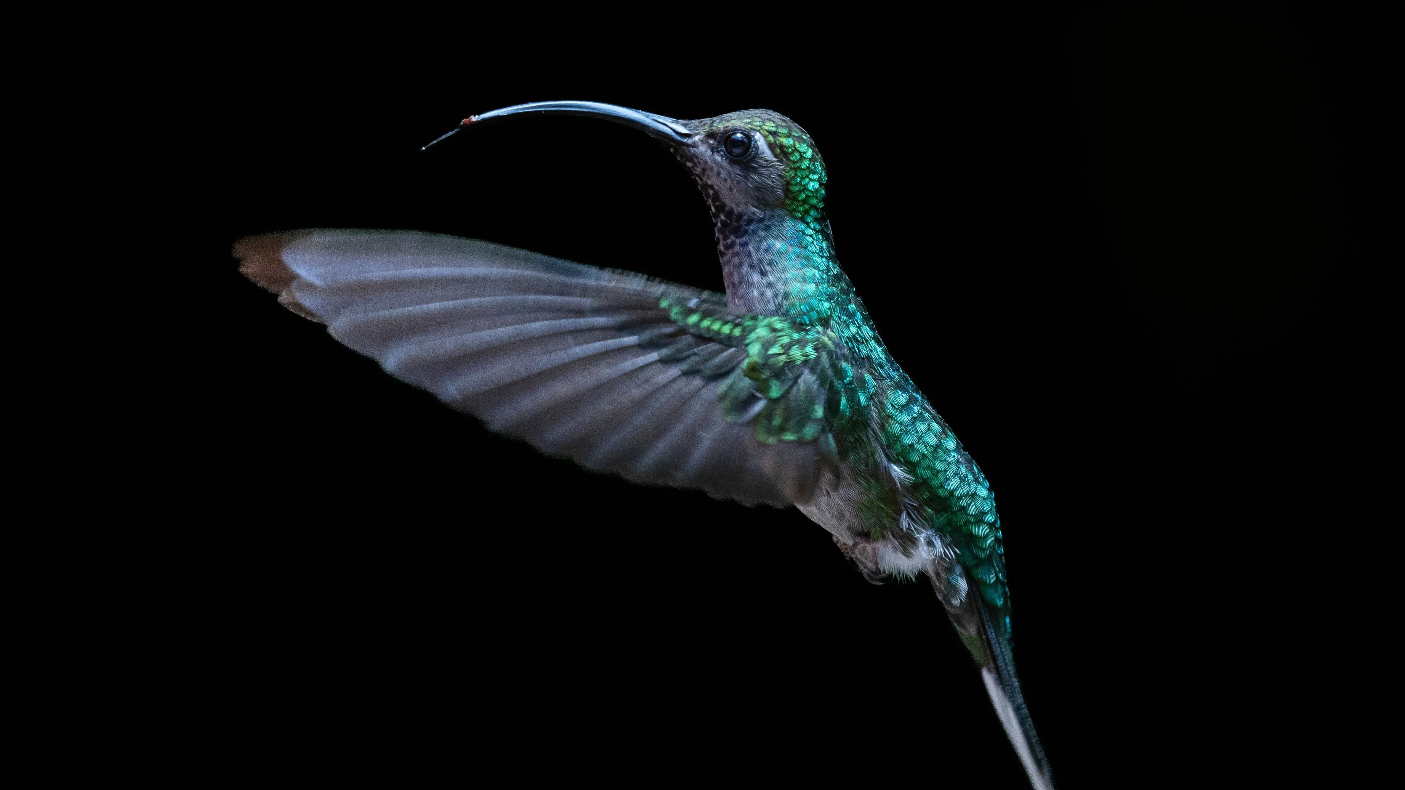 Zdjęcie z programu wyjazdu