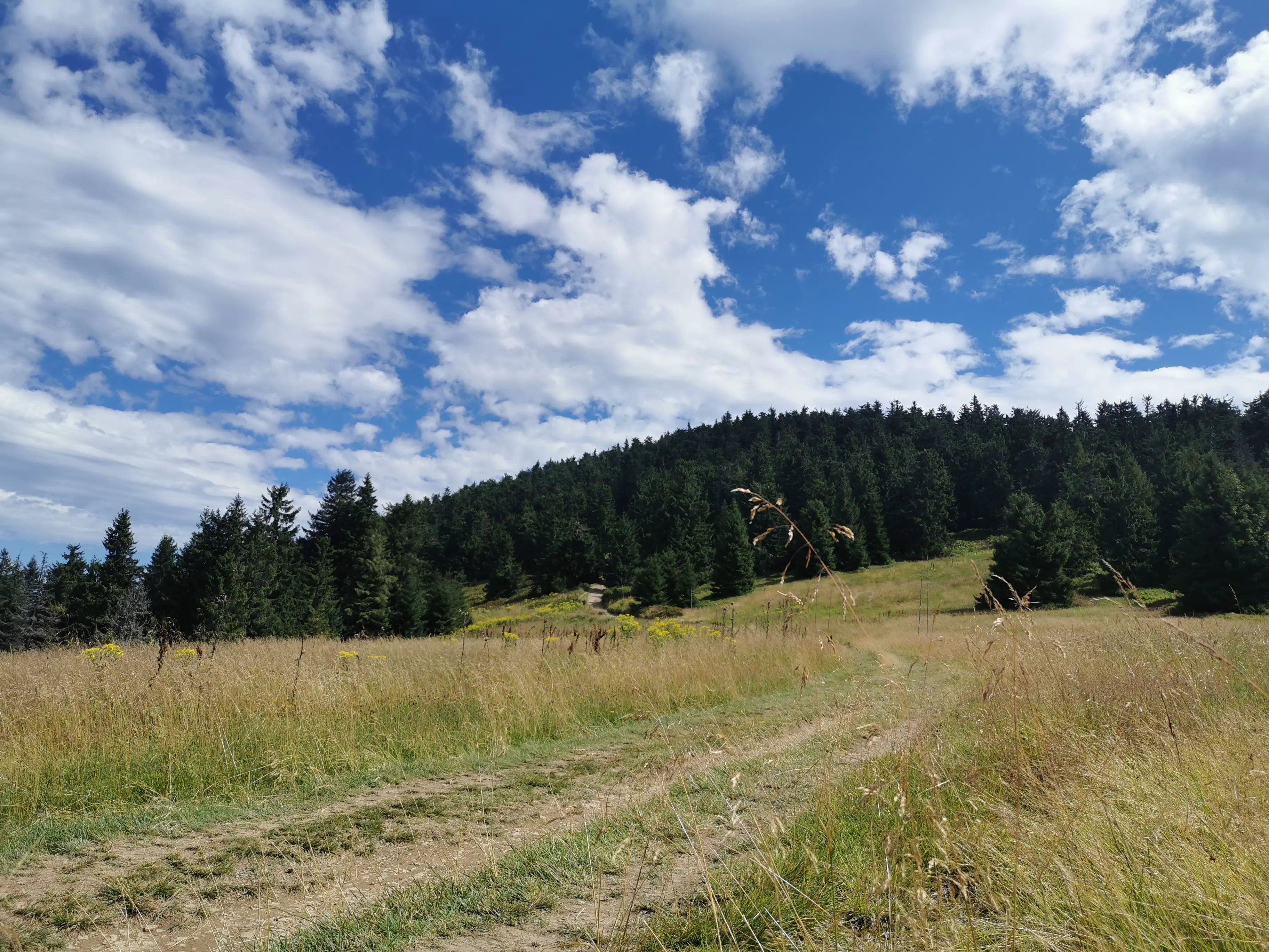 Zdjęcie z programu wyjazdu