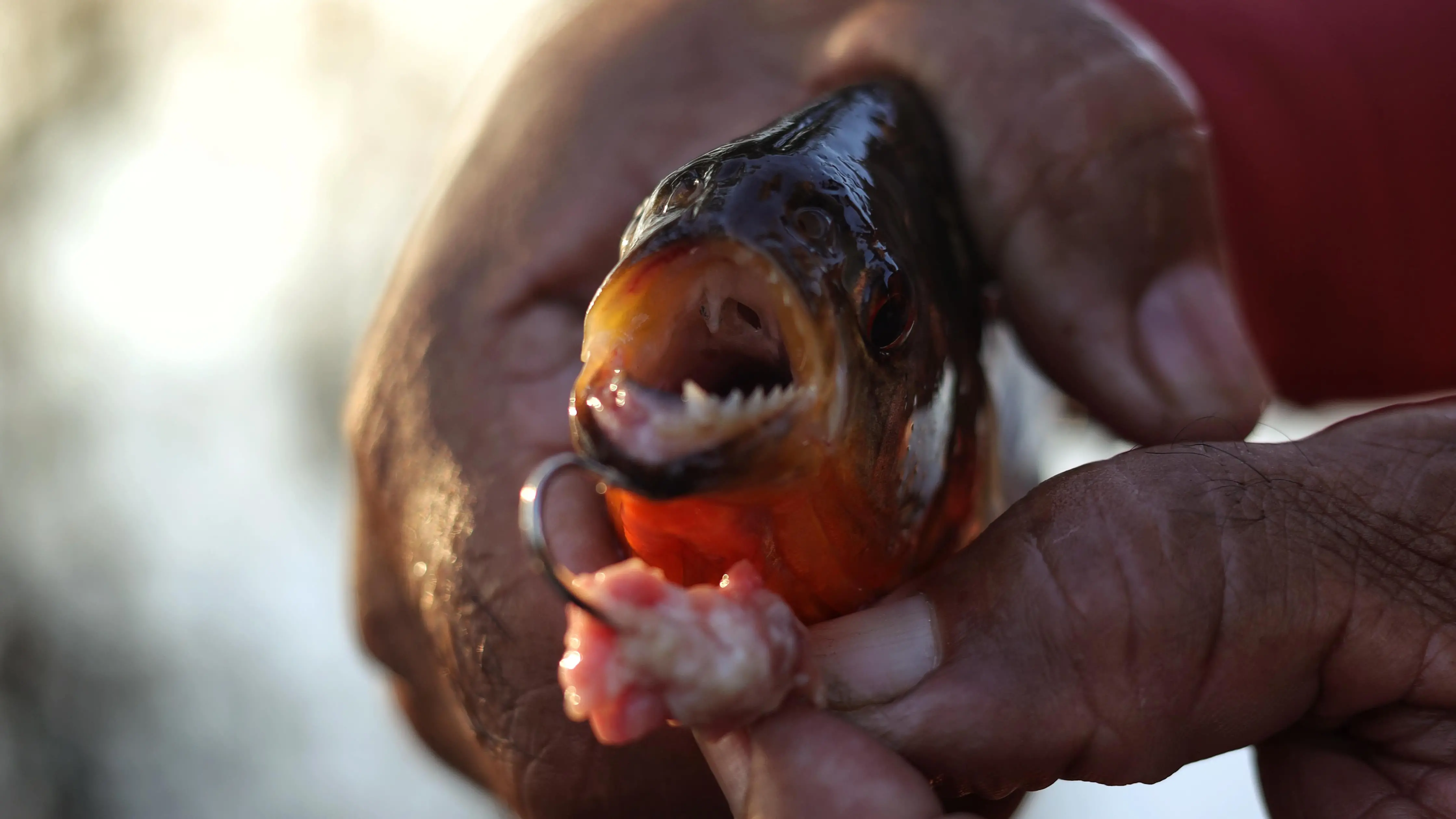 Zdjęcie z programu wyjazdu