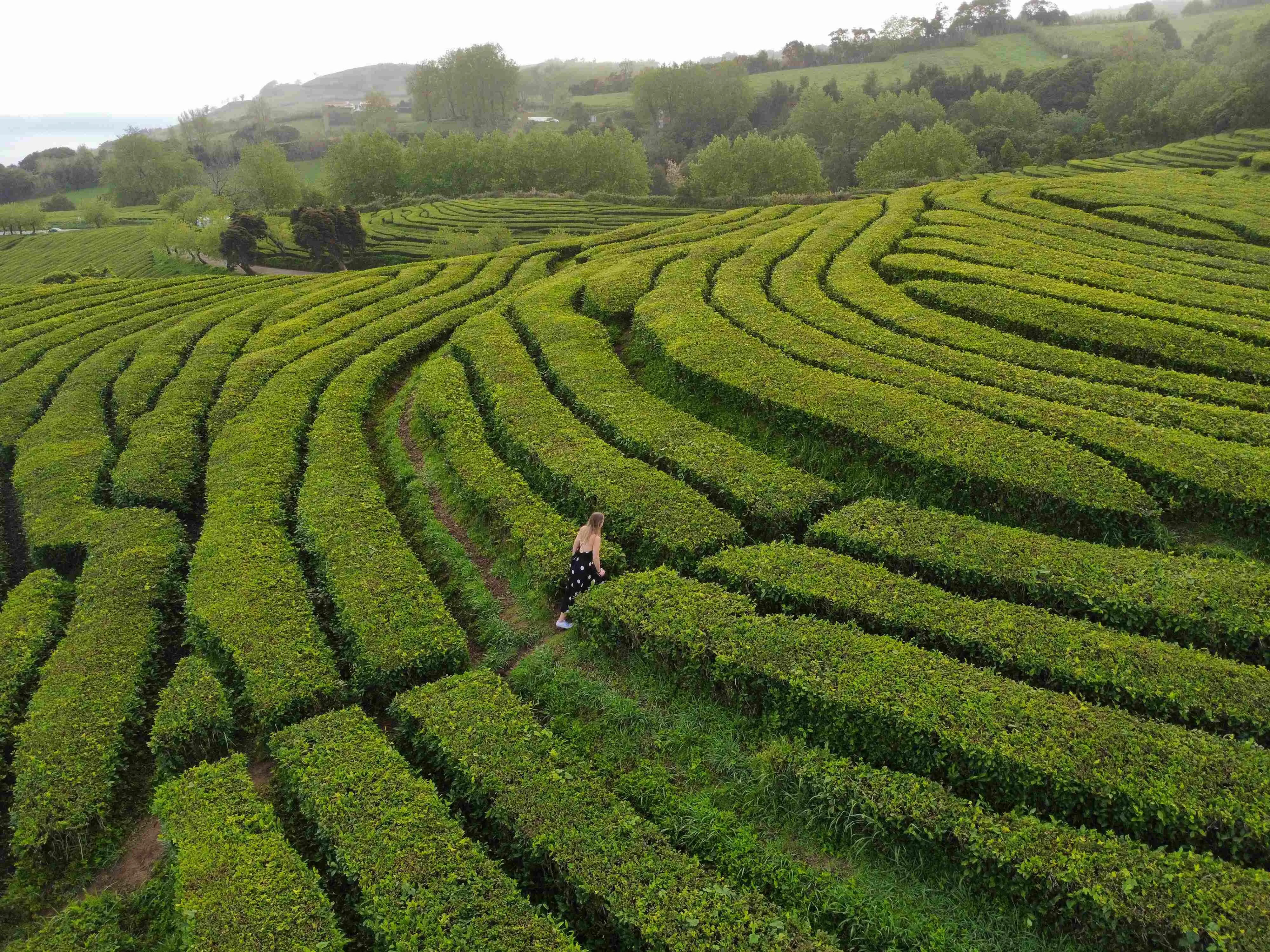 Zdjęcie z programu wyjazdu