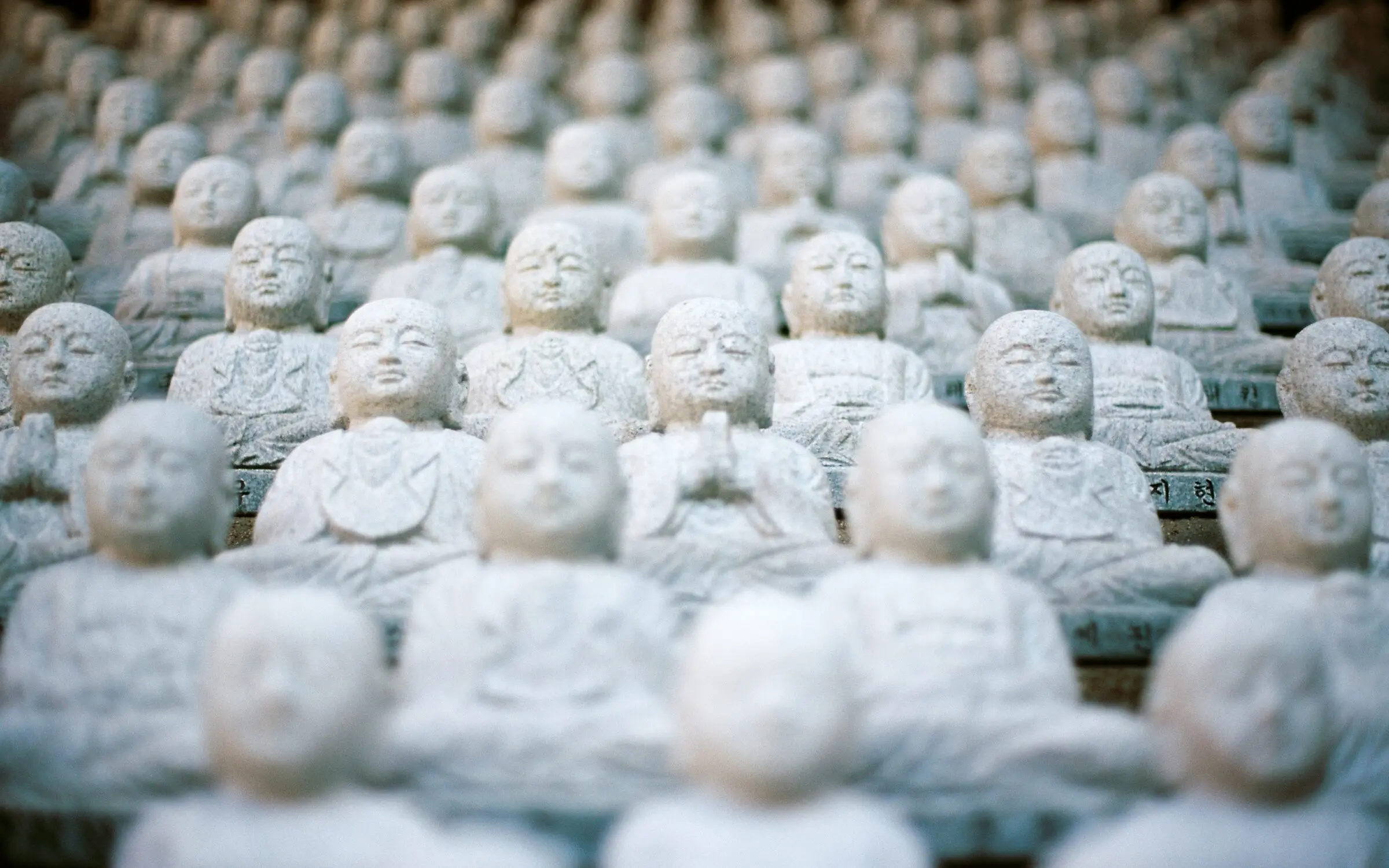 Zdjęcie z programu wyjazdu