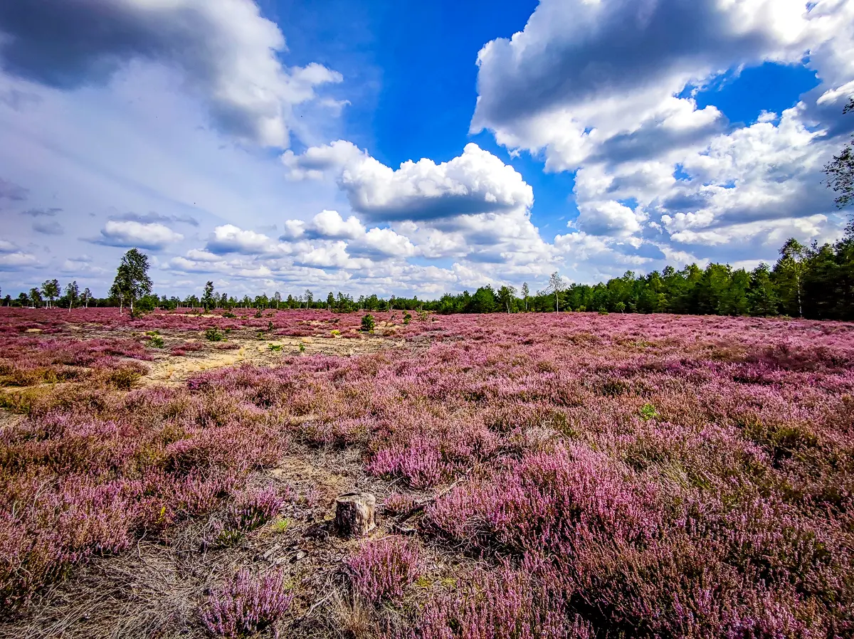 Zdjęcie z programu wyjazdu