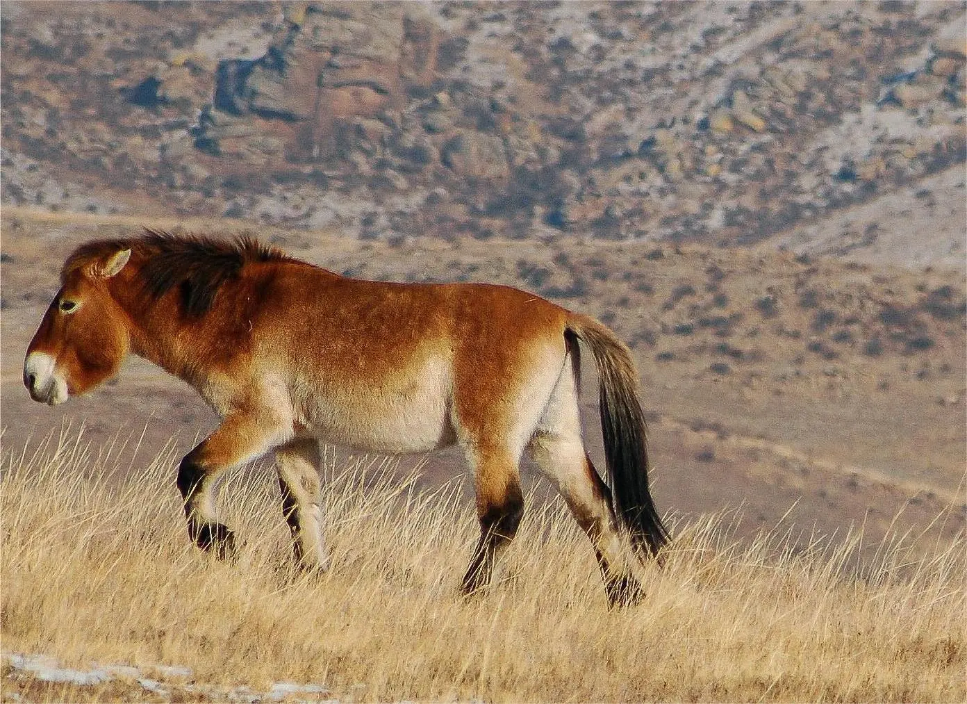 Zdjęcie z programu wyjazdu