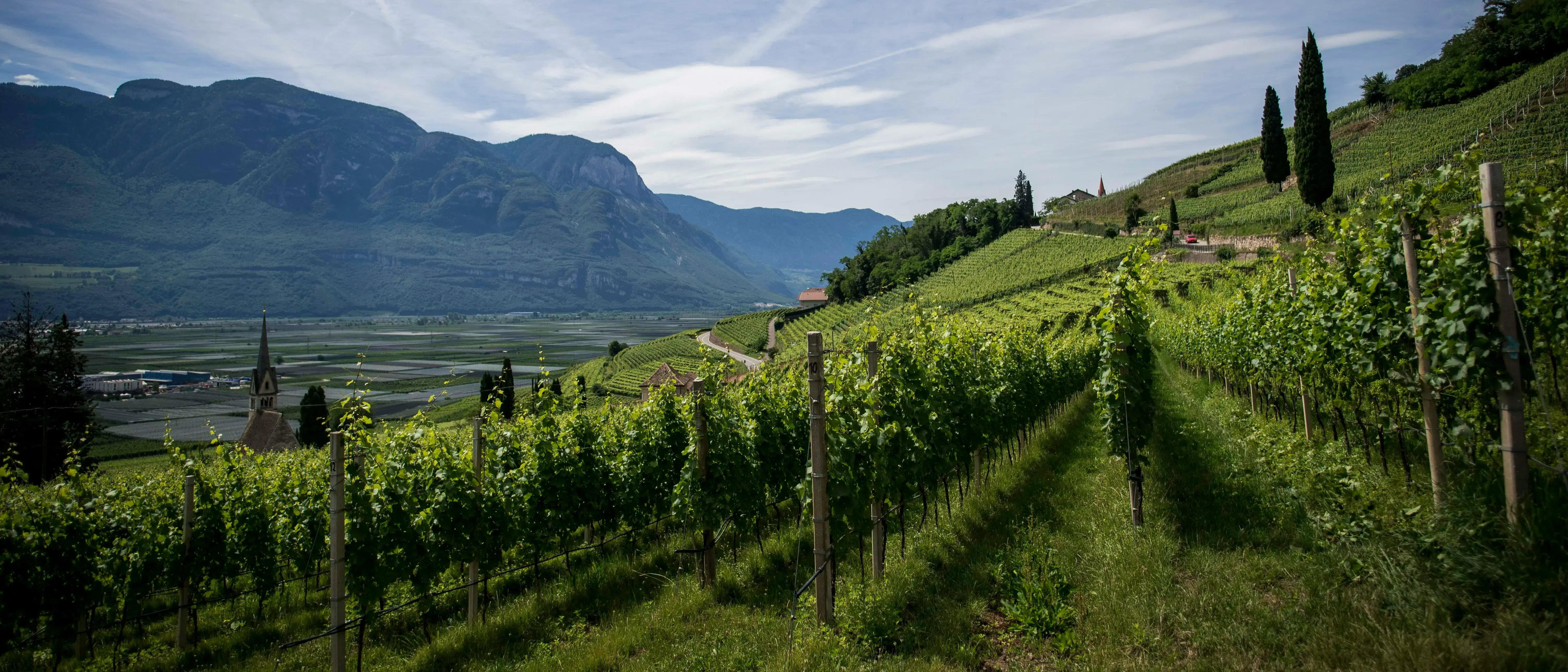 Zdjęcie z programu wyjazdu