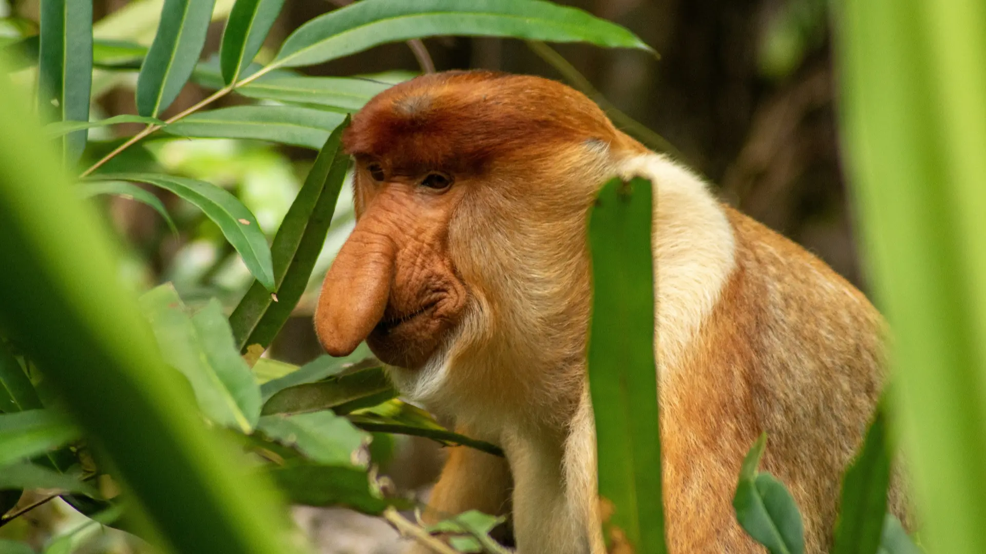 Zdjęcie z programu wyjazdu