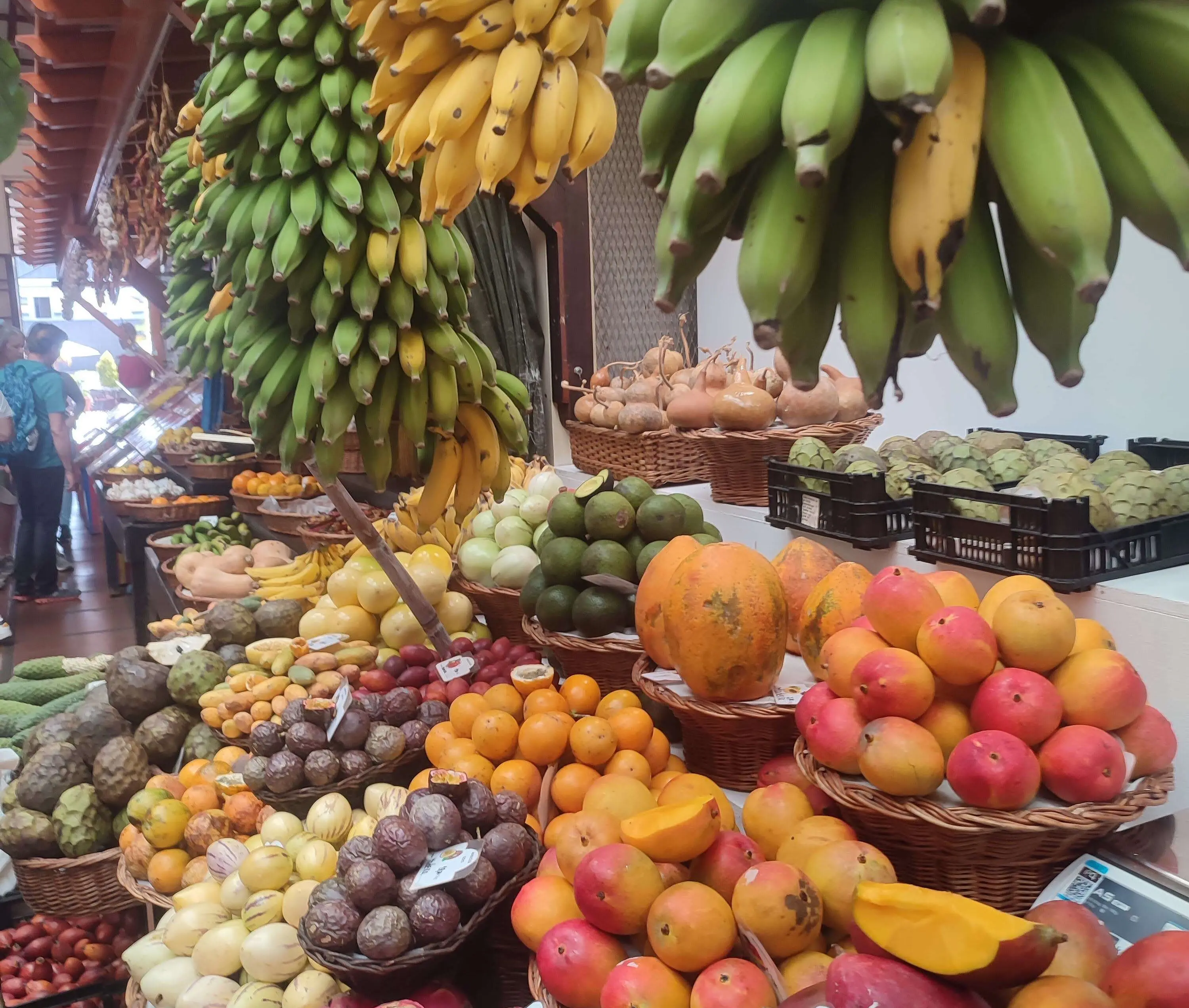 Zdjęcie z programu wyjazdu