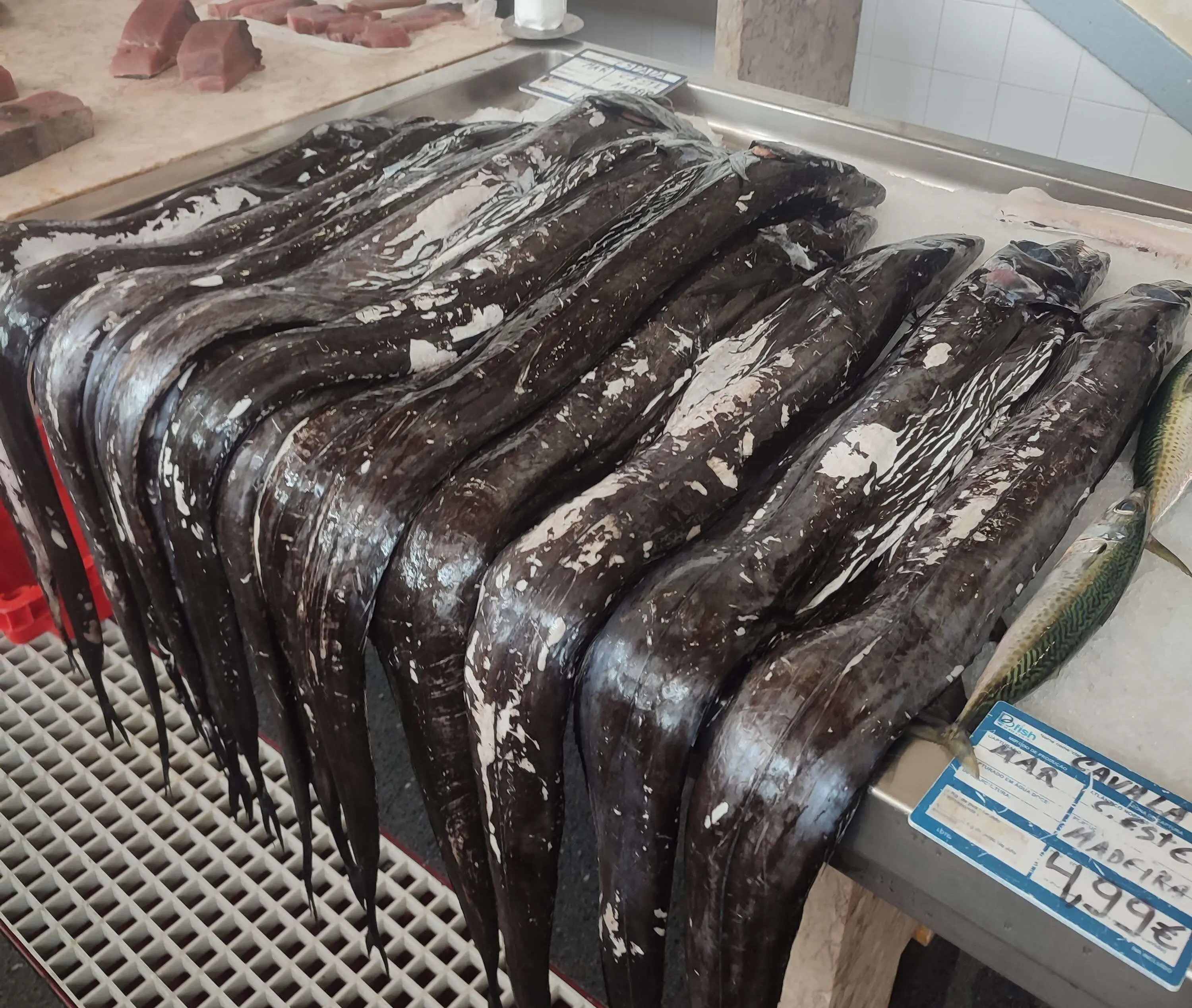 Zdjęcie z programu wyjazdu