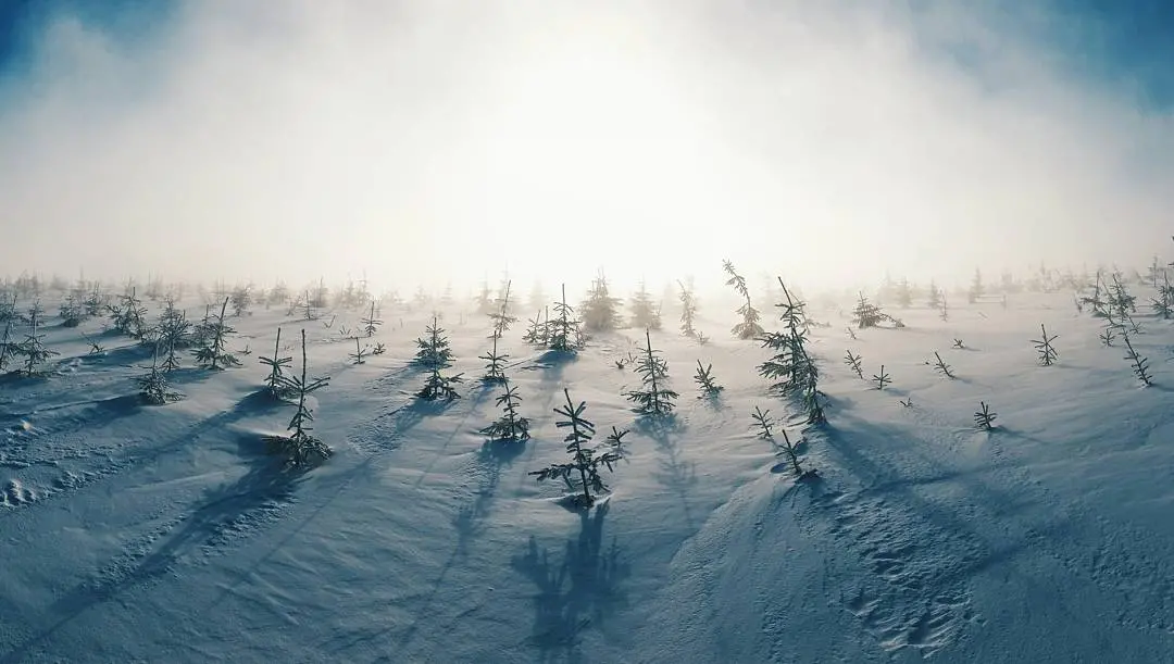 Zdjęcie z programu wyjazdu