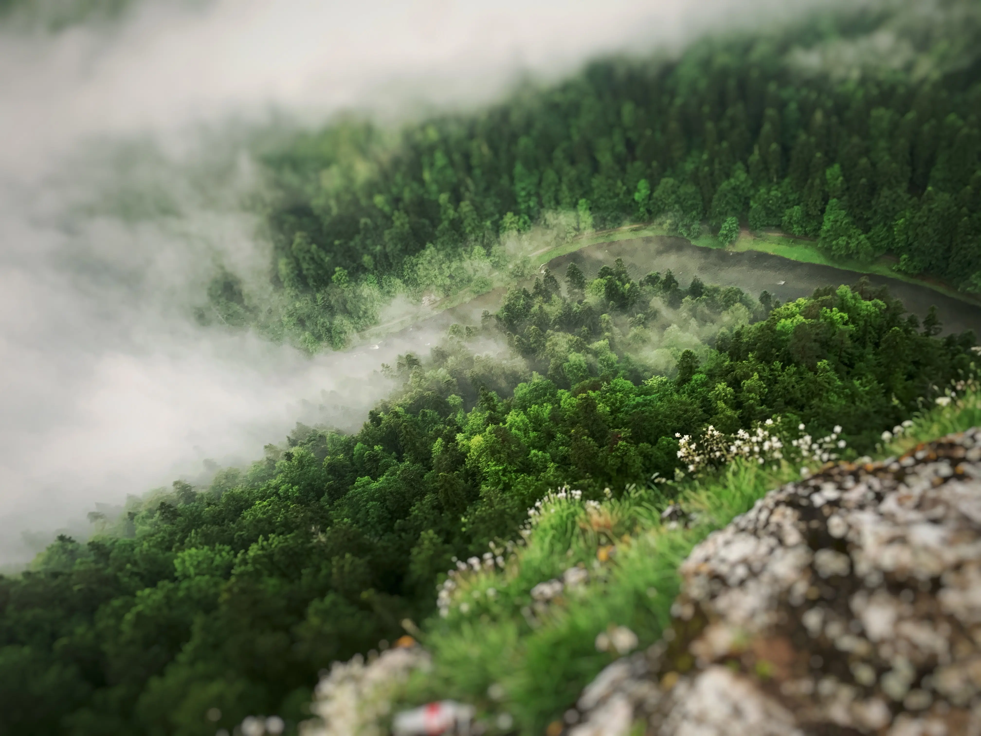 Zdjęcie z programu wyjazdu