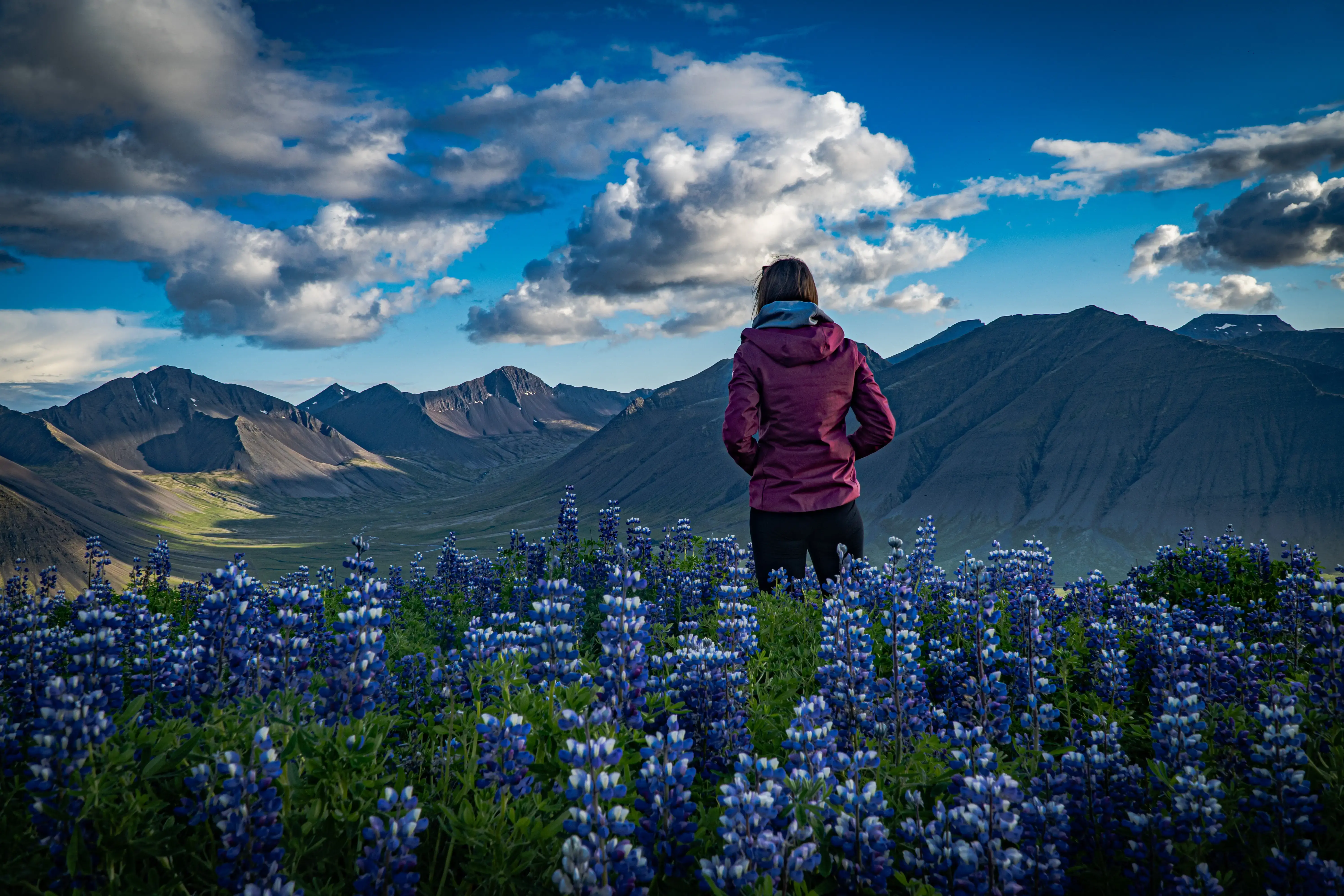 Zdjęcie z programu wyjazdu