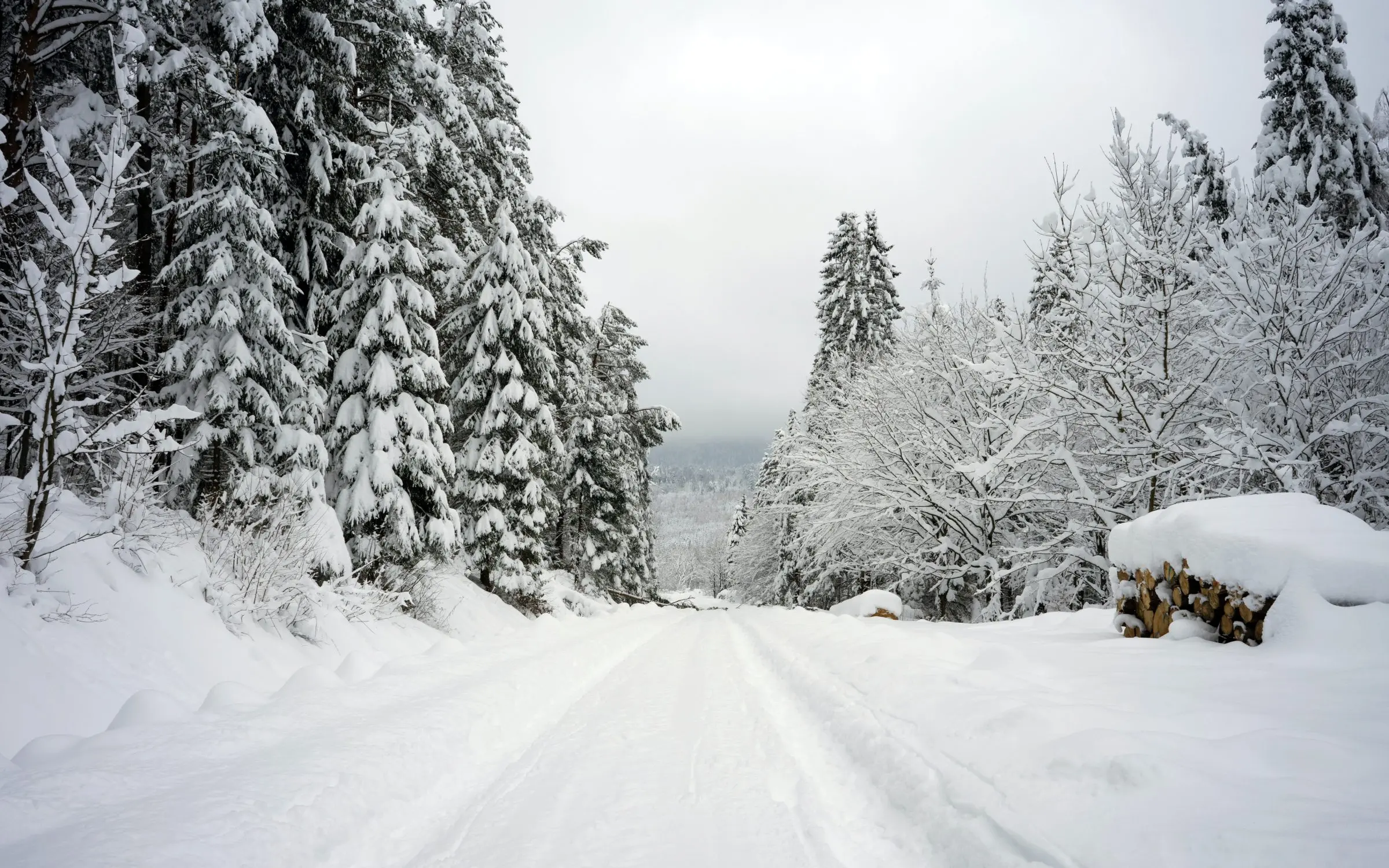 Zdjęcie z programu wyjazdu